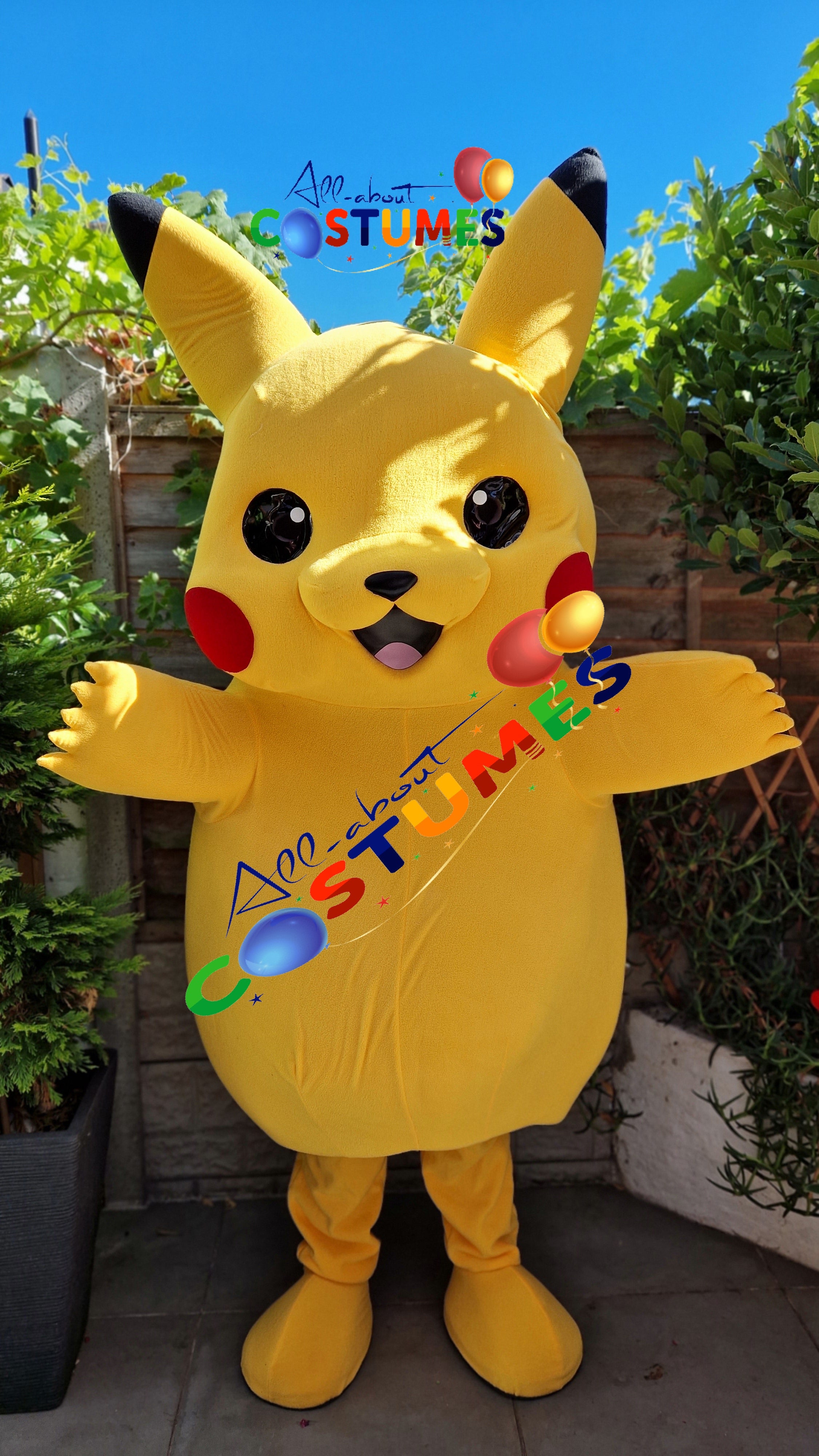 Pikachu Pokémon