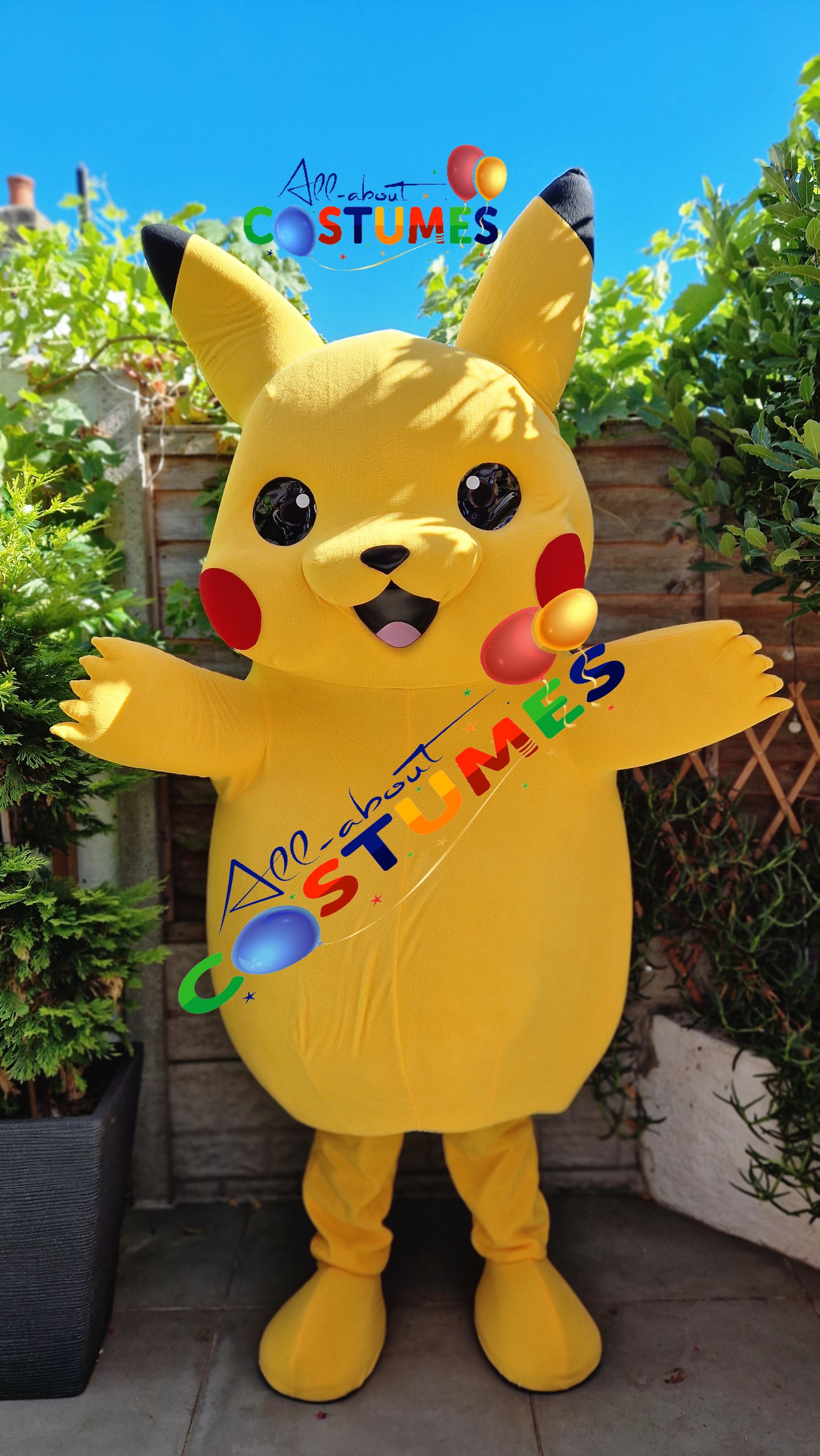 Pikachu Pokémon