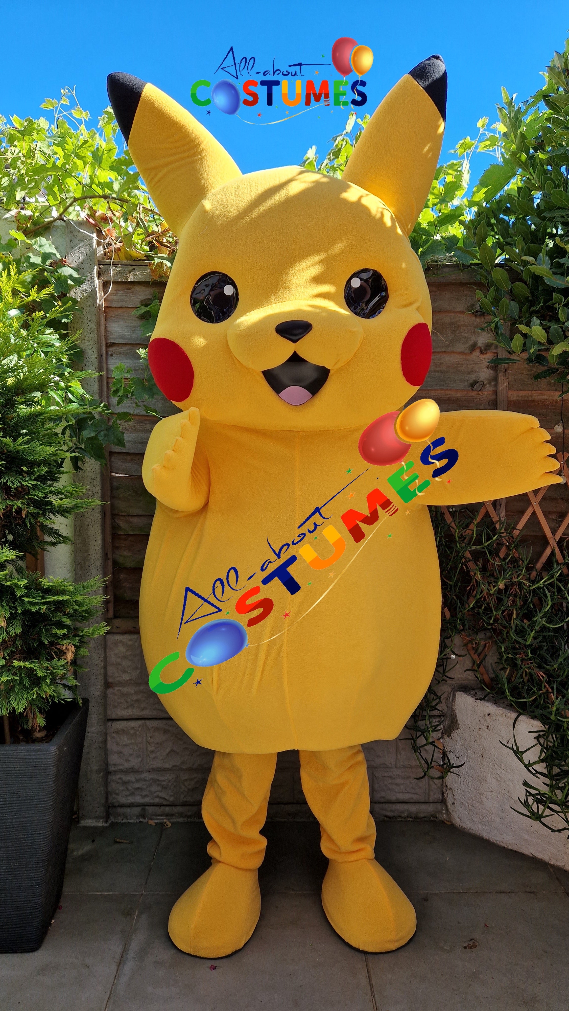 Pikachu Pokémon