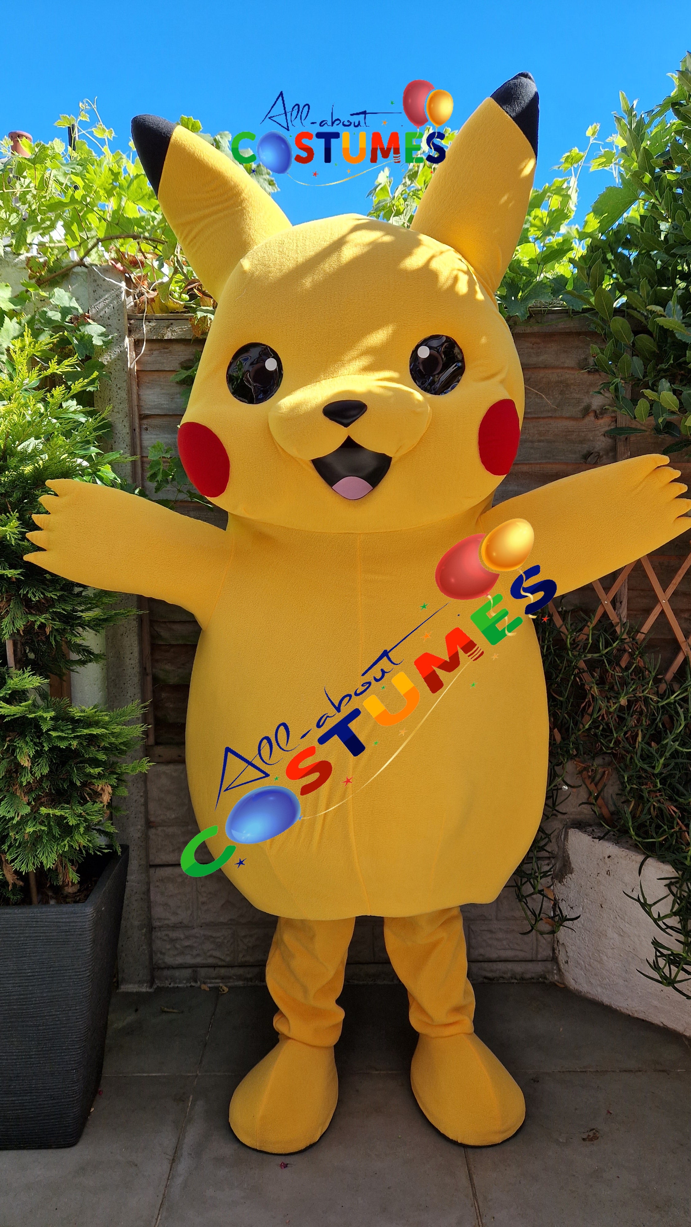 Pikachu Pokémon