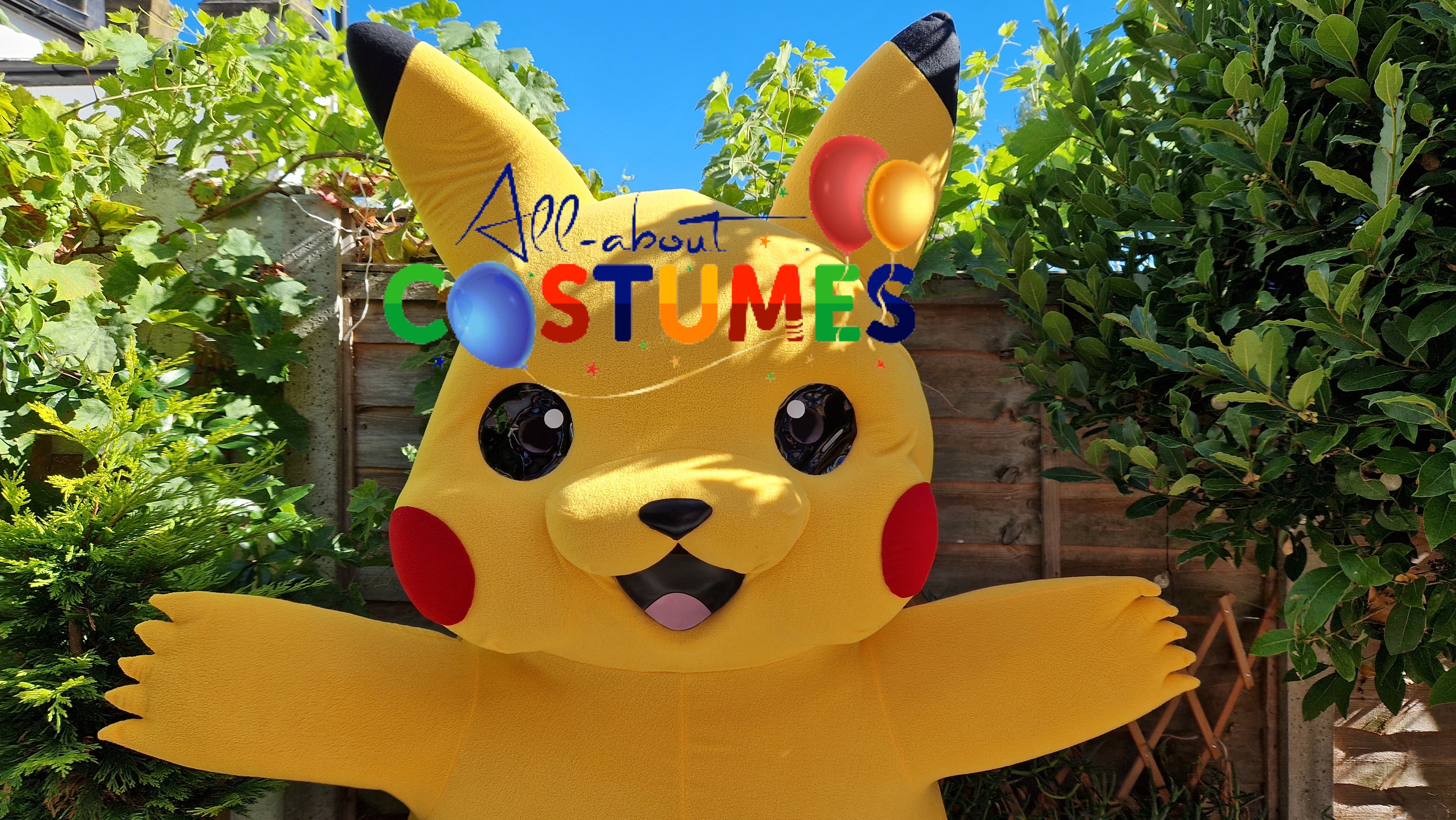 Pikachu Pokémon