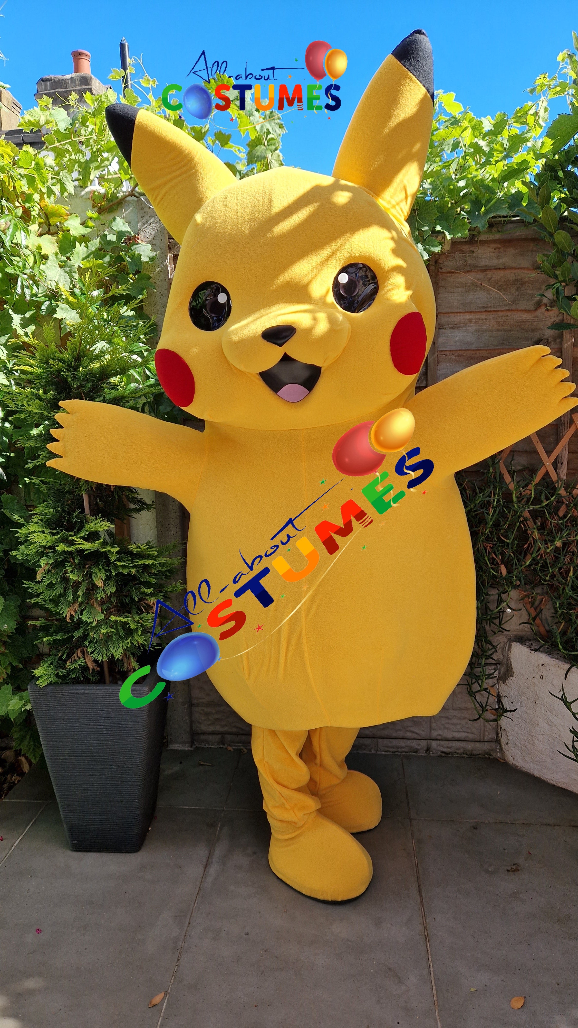 Pikachu Pokémon