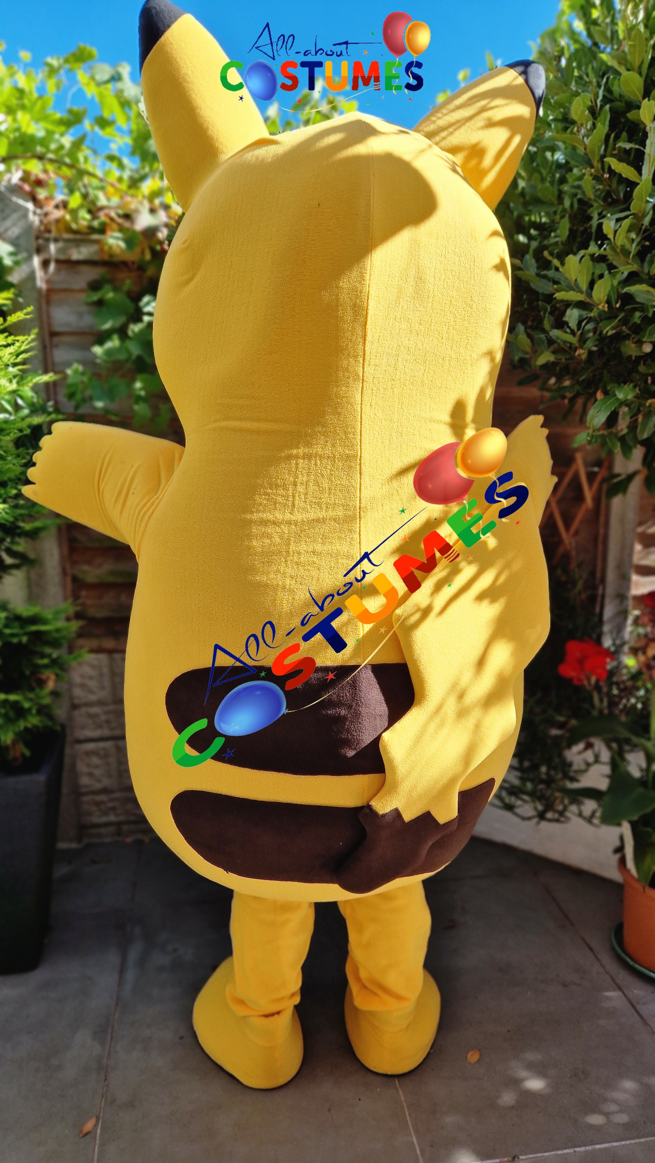 Pikachu Pokémon