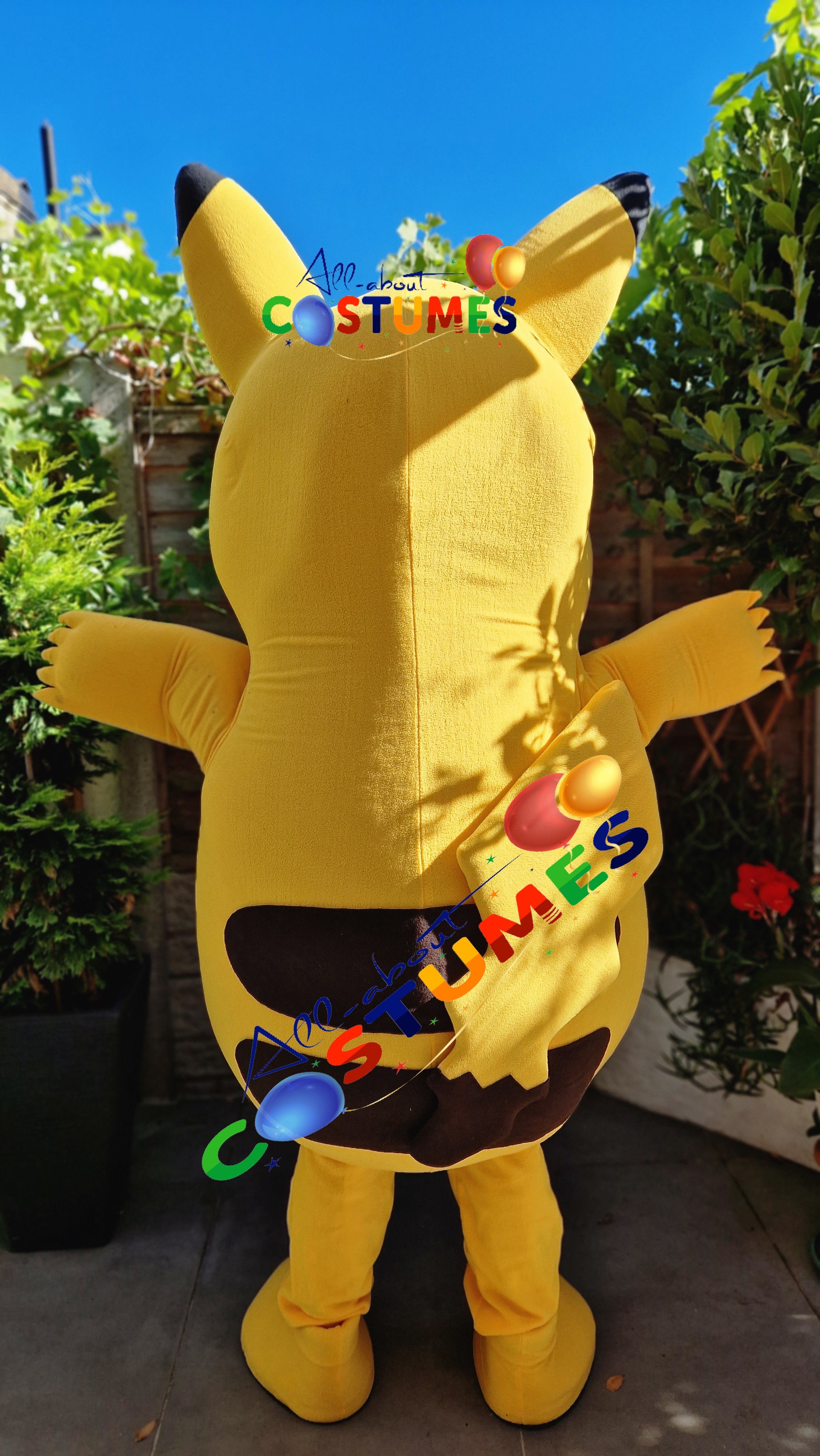 Pikachu Pokémon