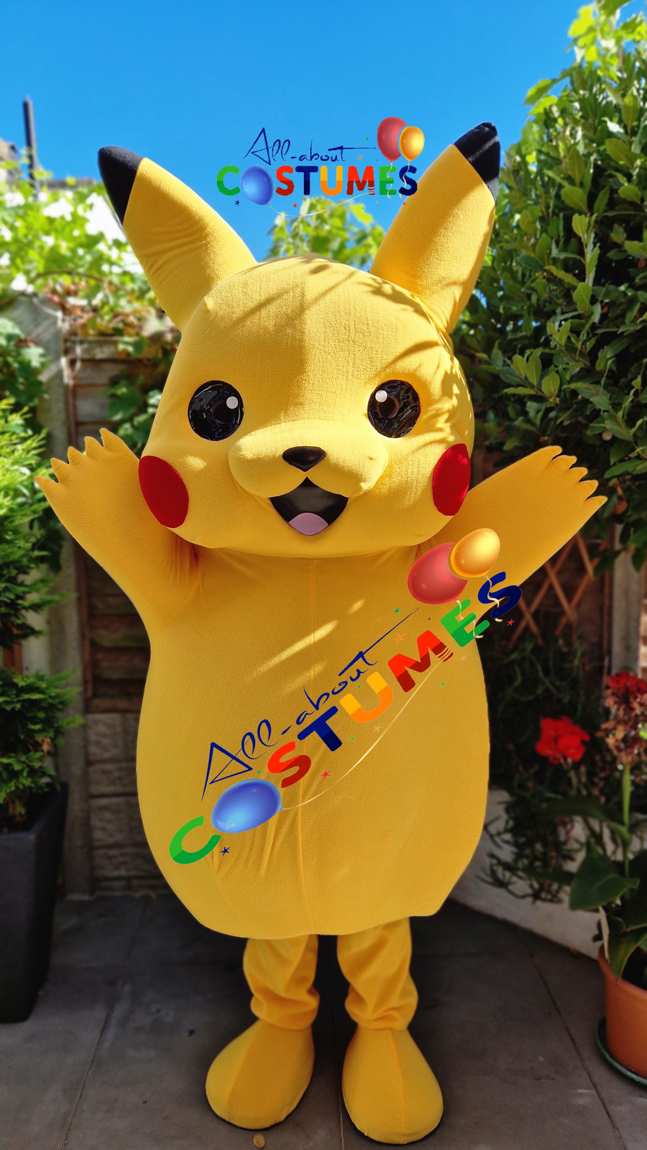 Pikachu Pokémon
