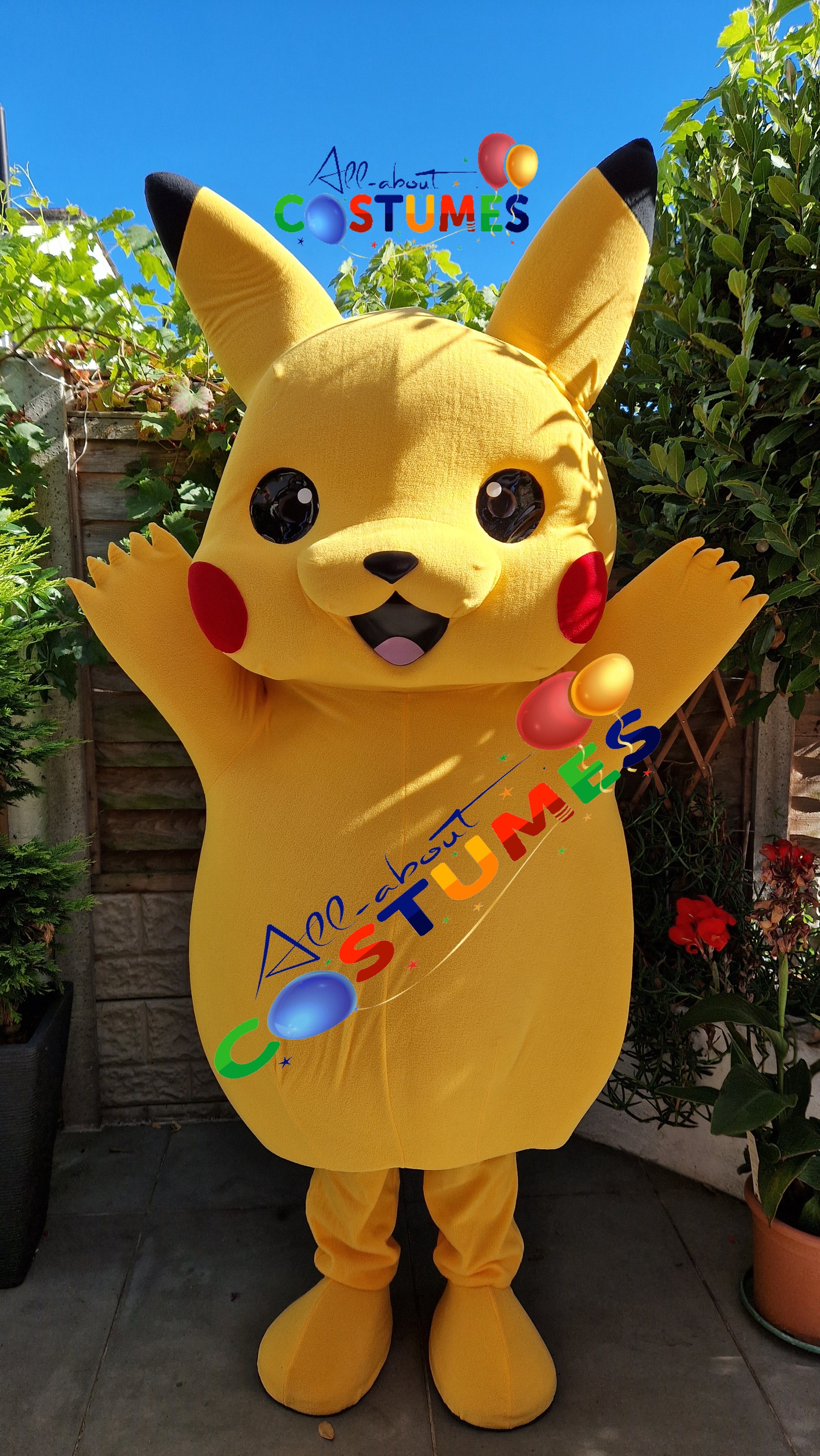Pikachu Pokémon