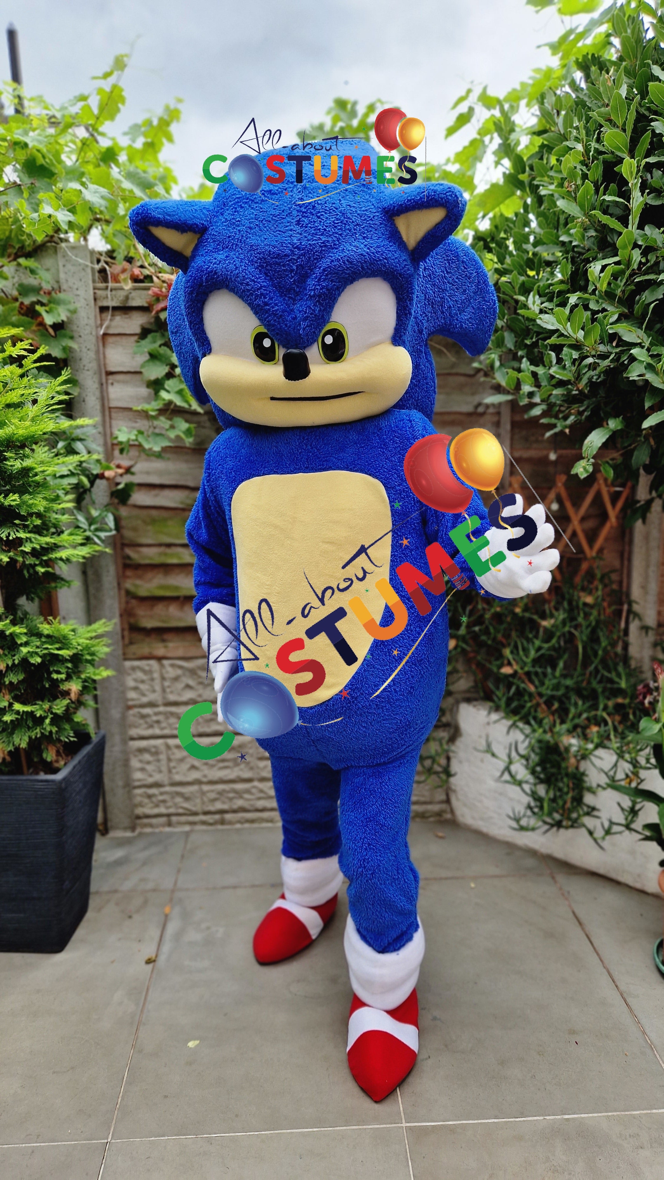 Sonic the Hedgehog Limited Edition