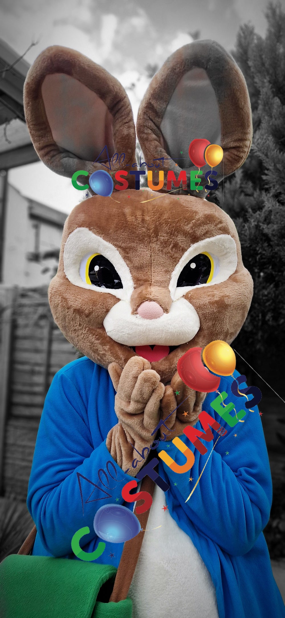 Peter Rabbit B costumes (All About Costumes)
