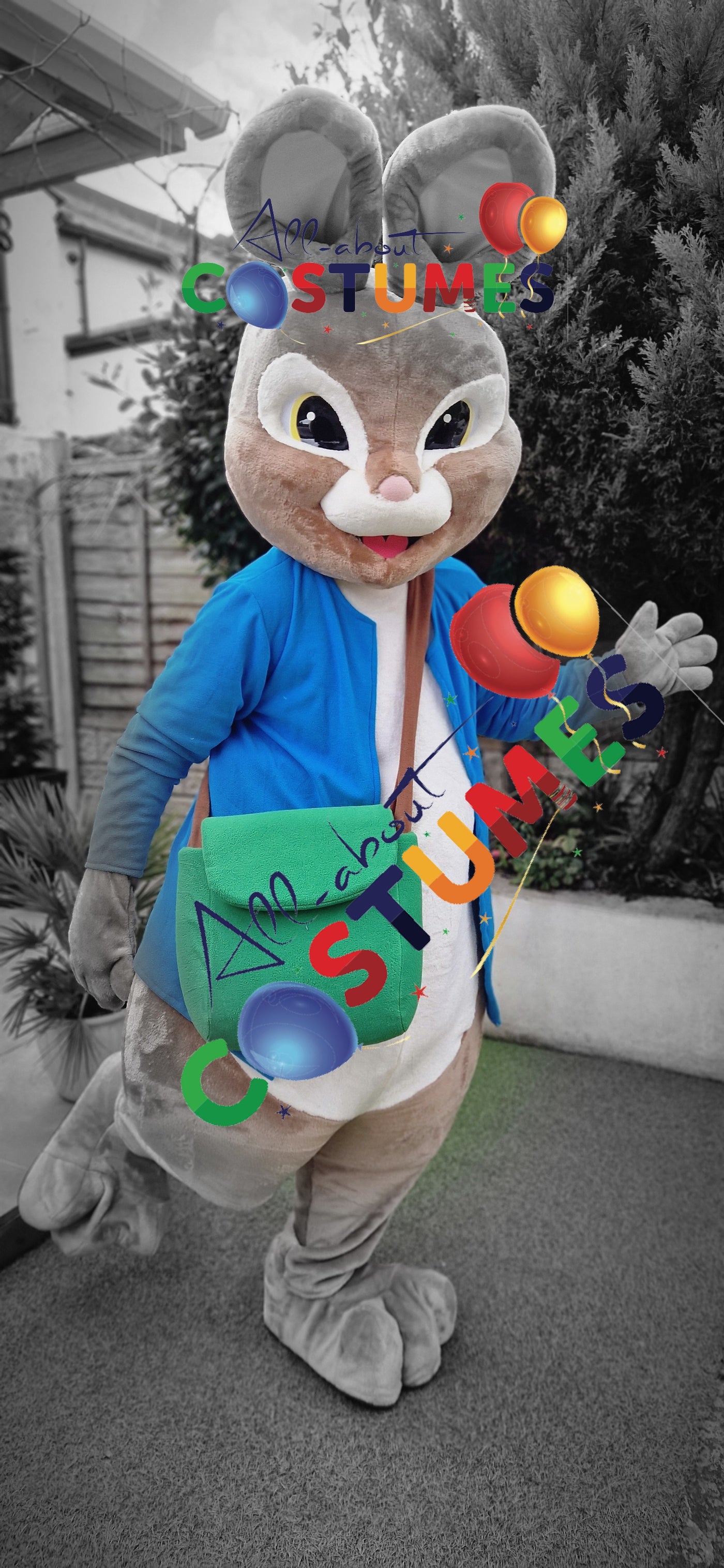 Peter Rabbit B
