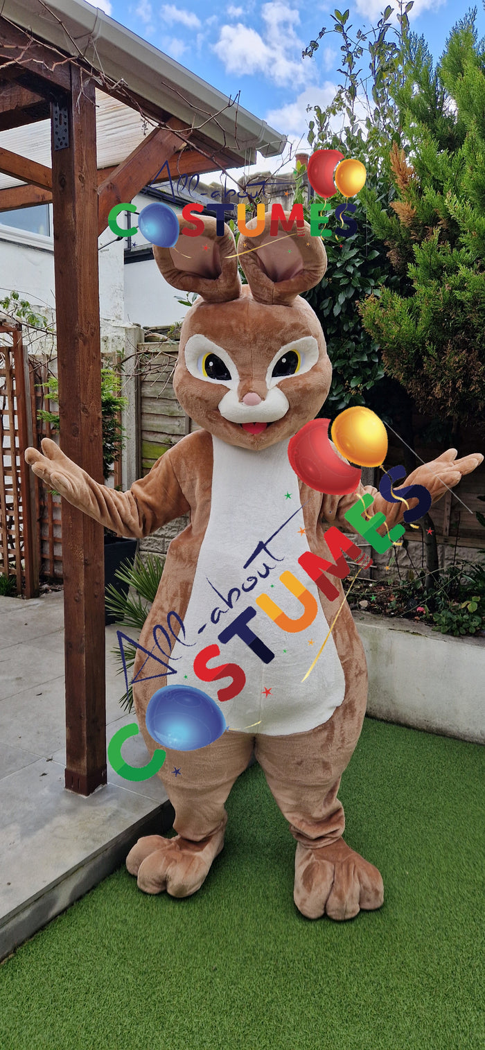 Rabbit costumes (All About Costume)