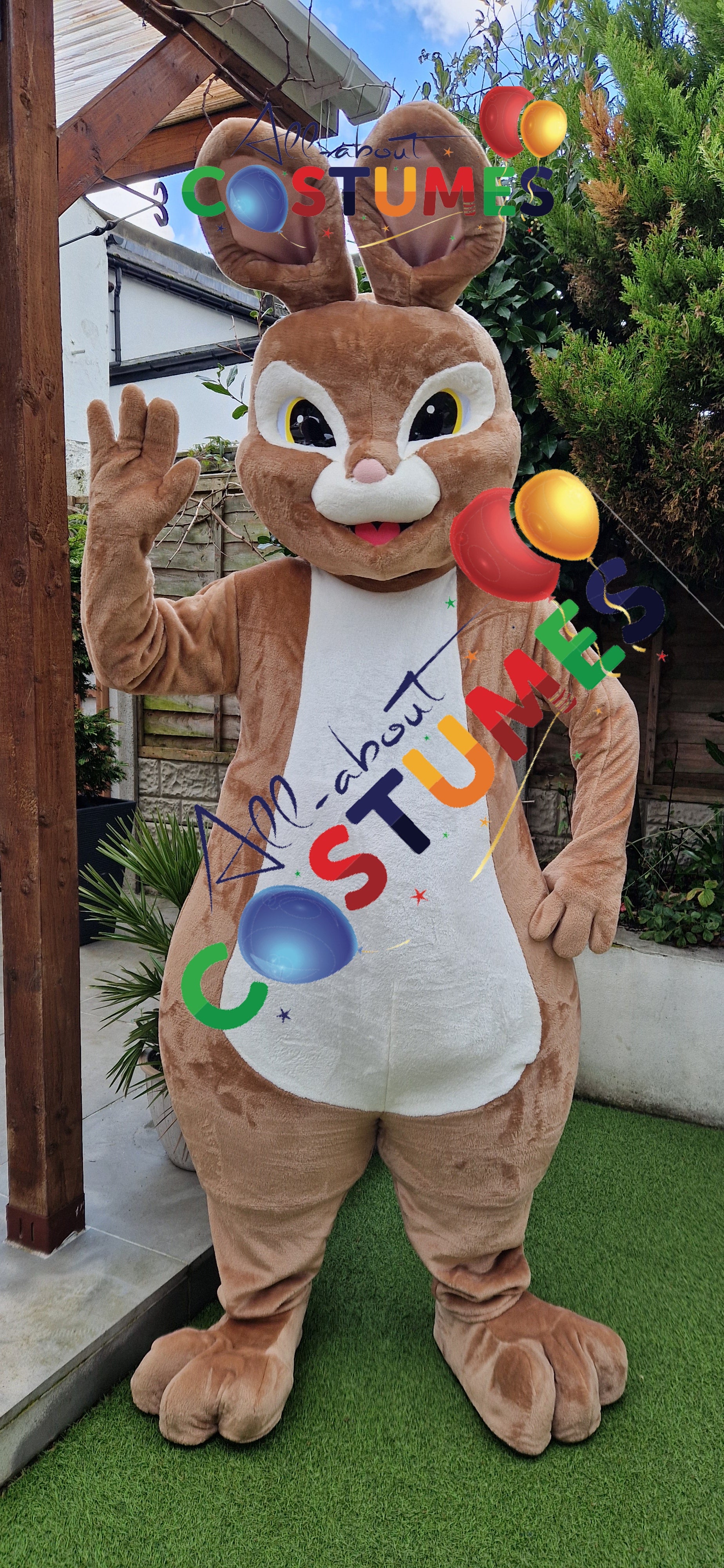 Rabbit