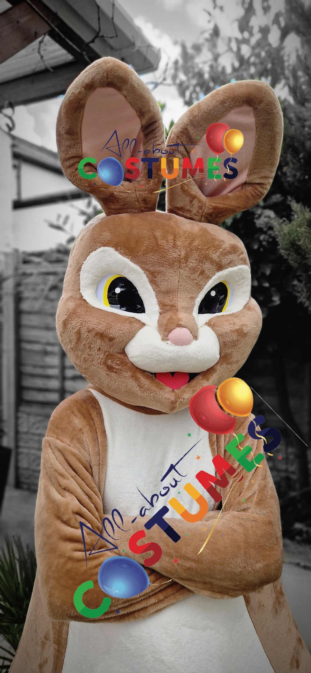 Conny Rabbit Costume Rabbit costumes (All About Costume)