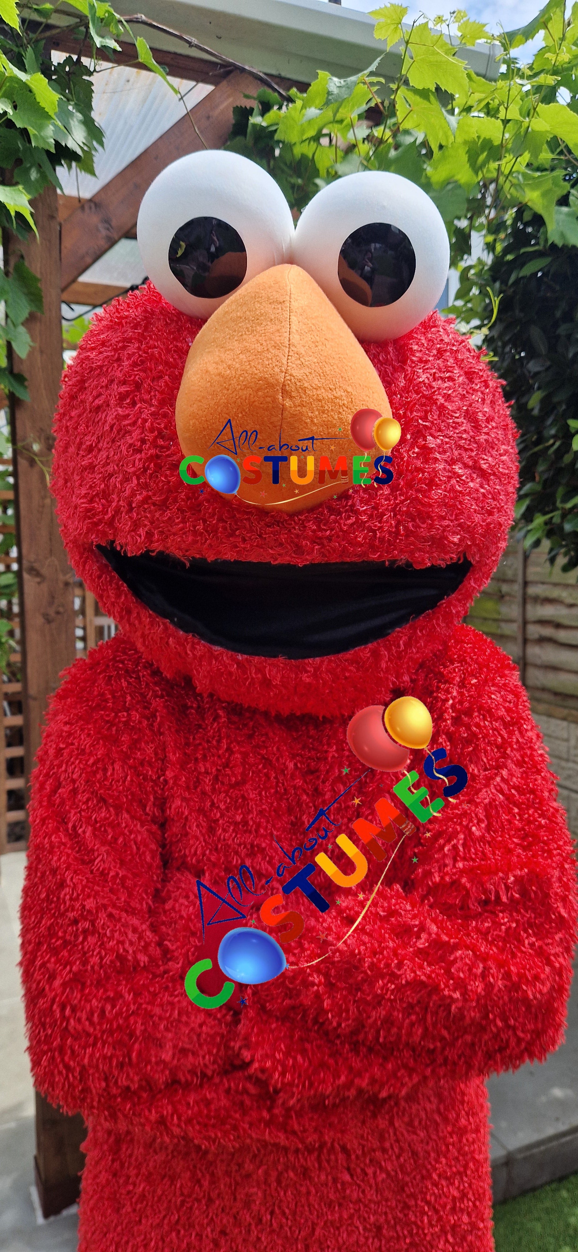 Sesame Street – Elmo or The Cookie Monster
