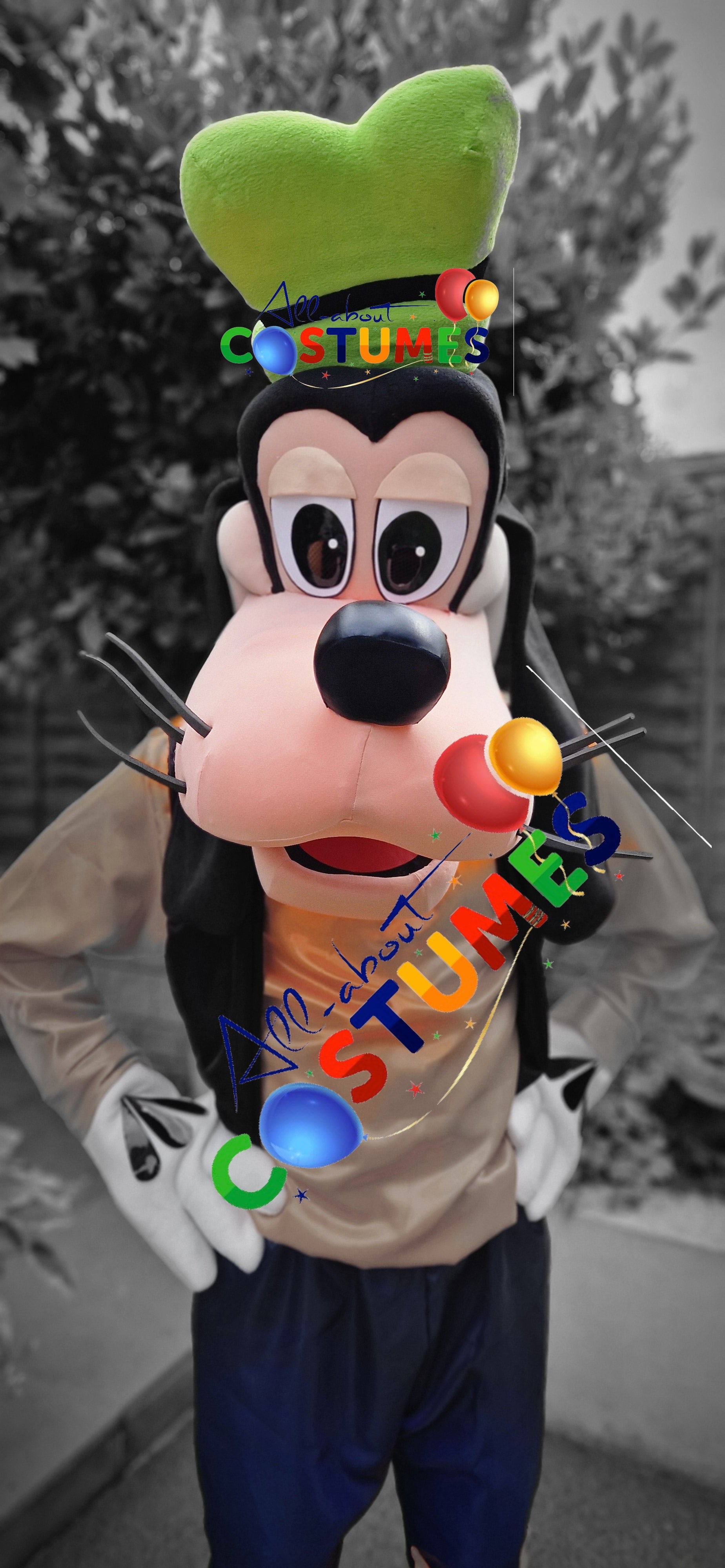 Goofy Costume