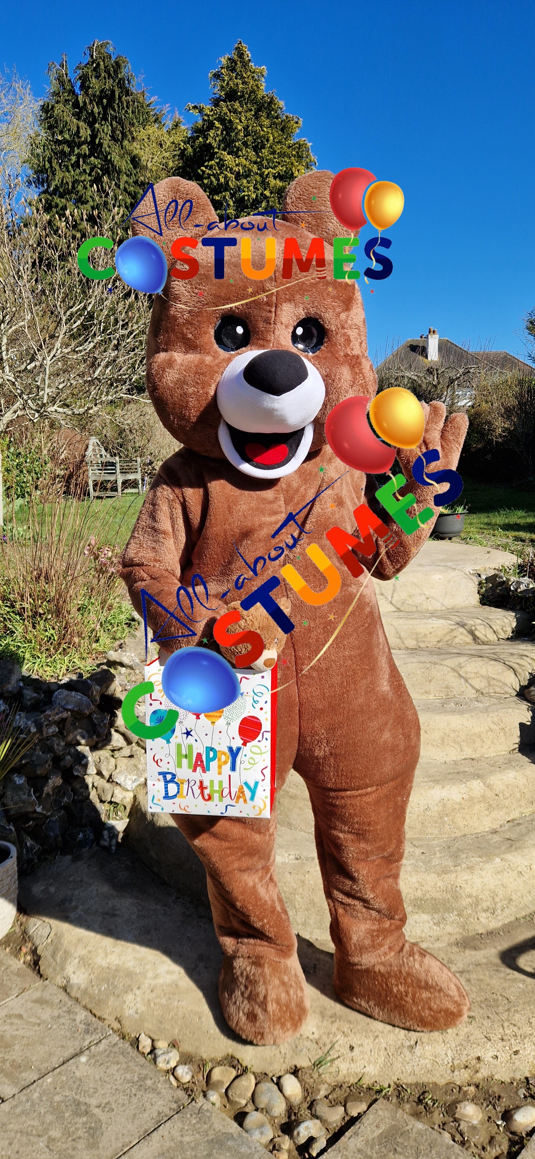 Brown Teddy Bear