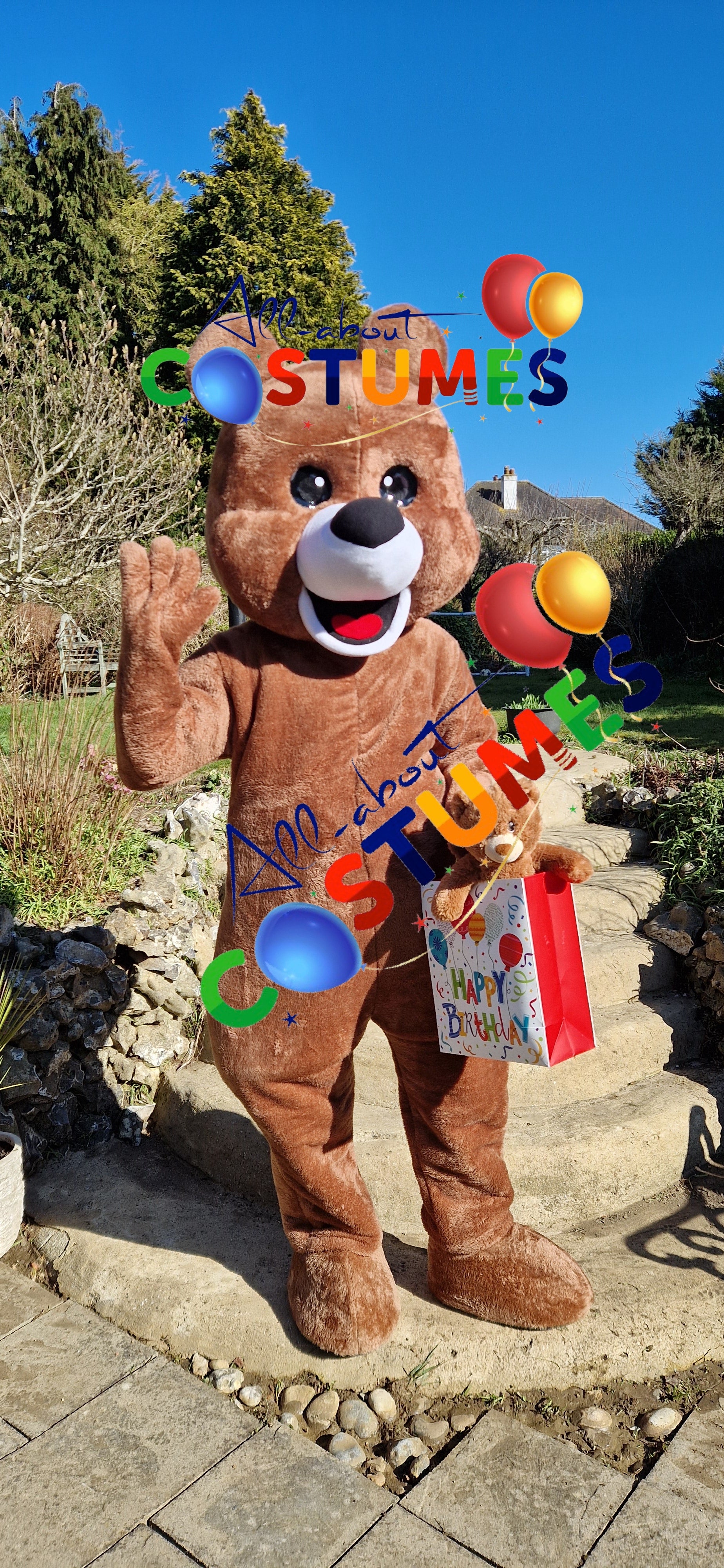 Brown Teddy Bear