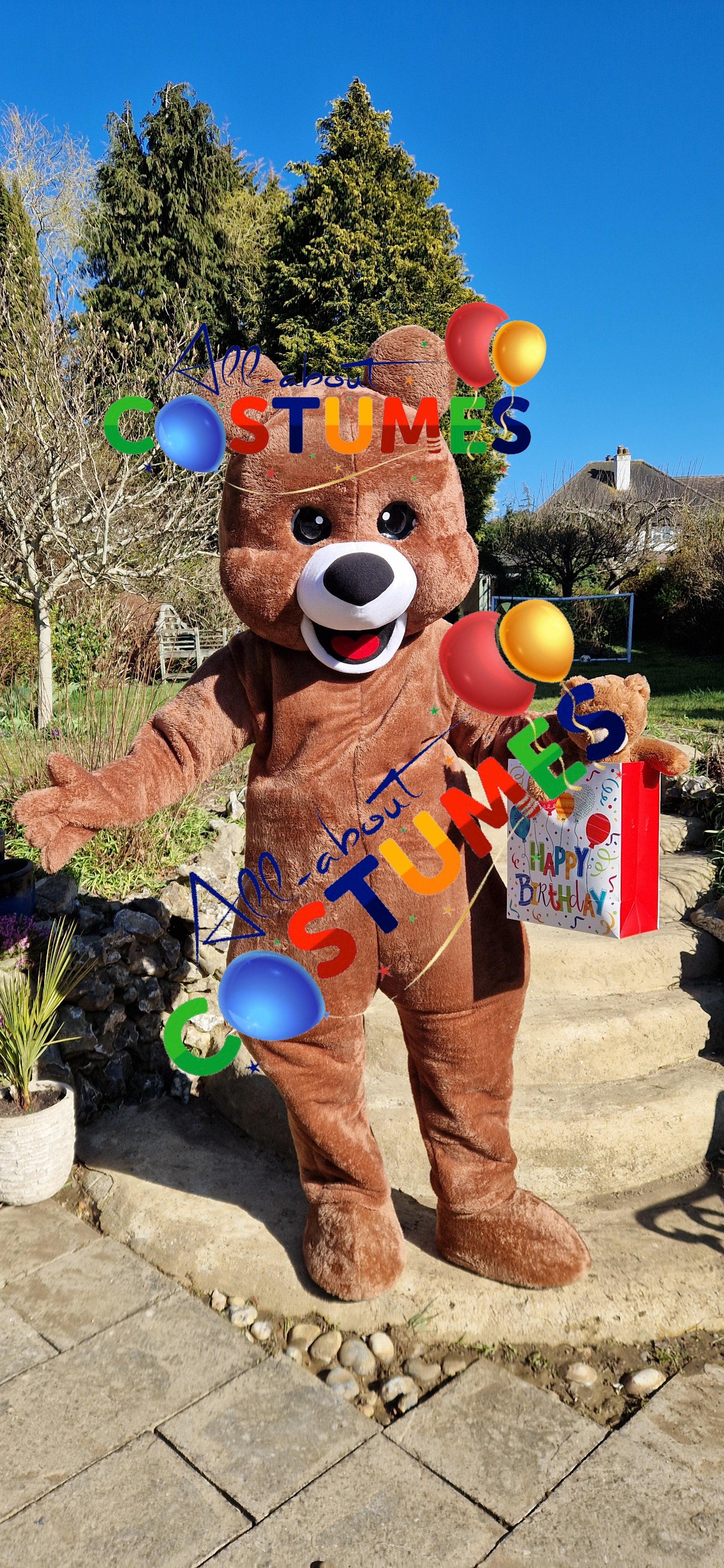 Brown Teddy Bear
