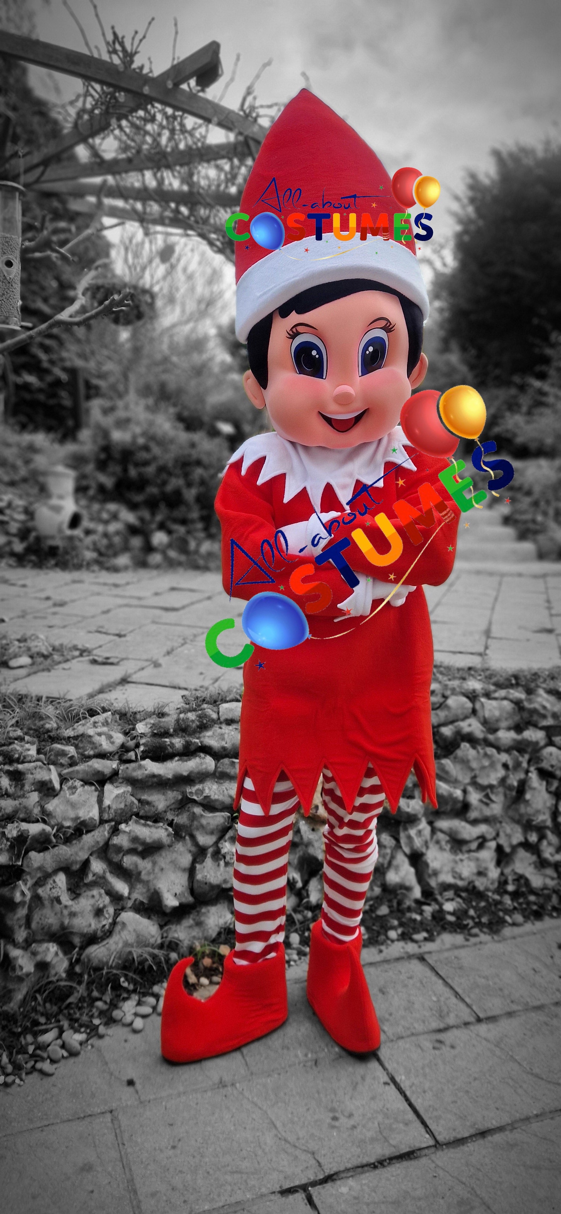 Z Elf en el estante Navidad