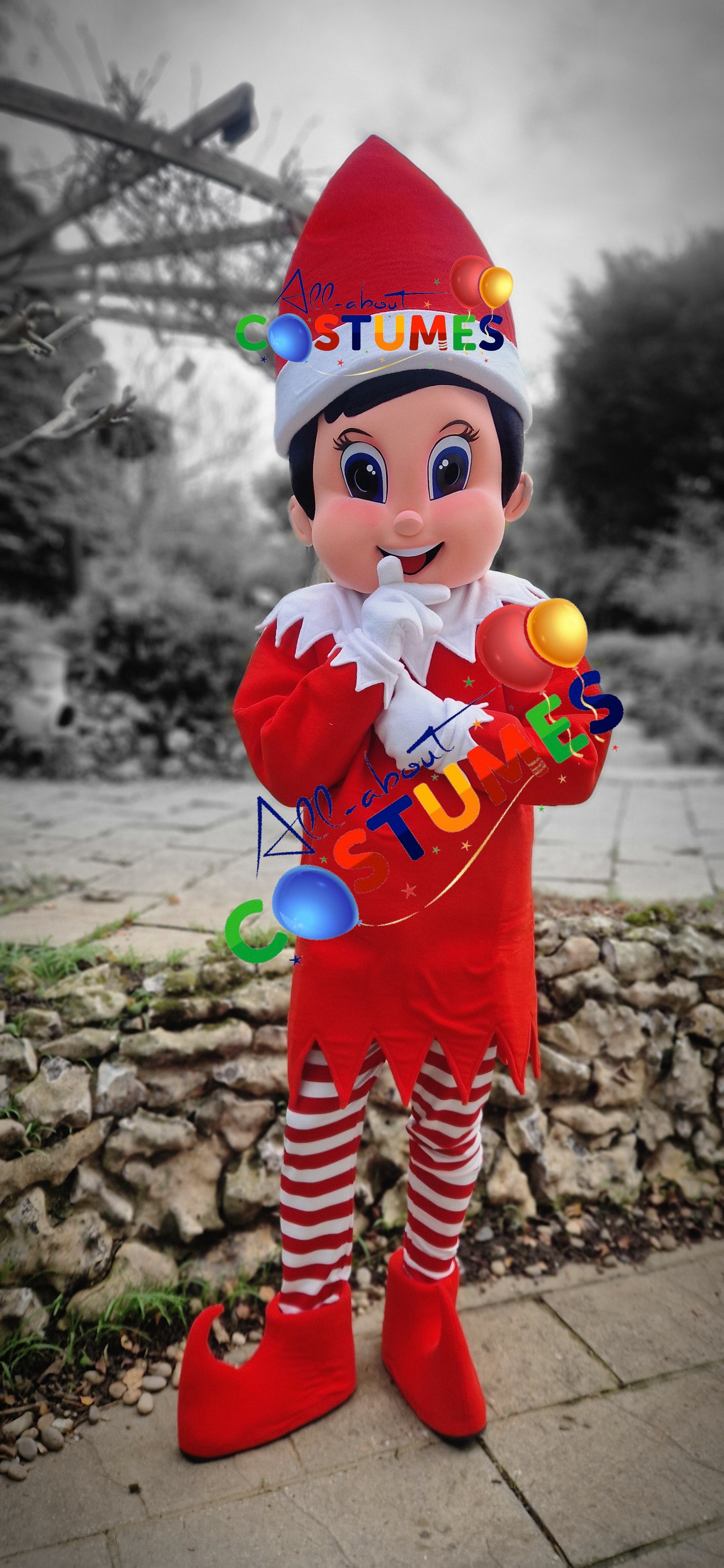 Z Elf en el estante Navidad