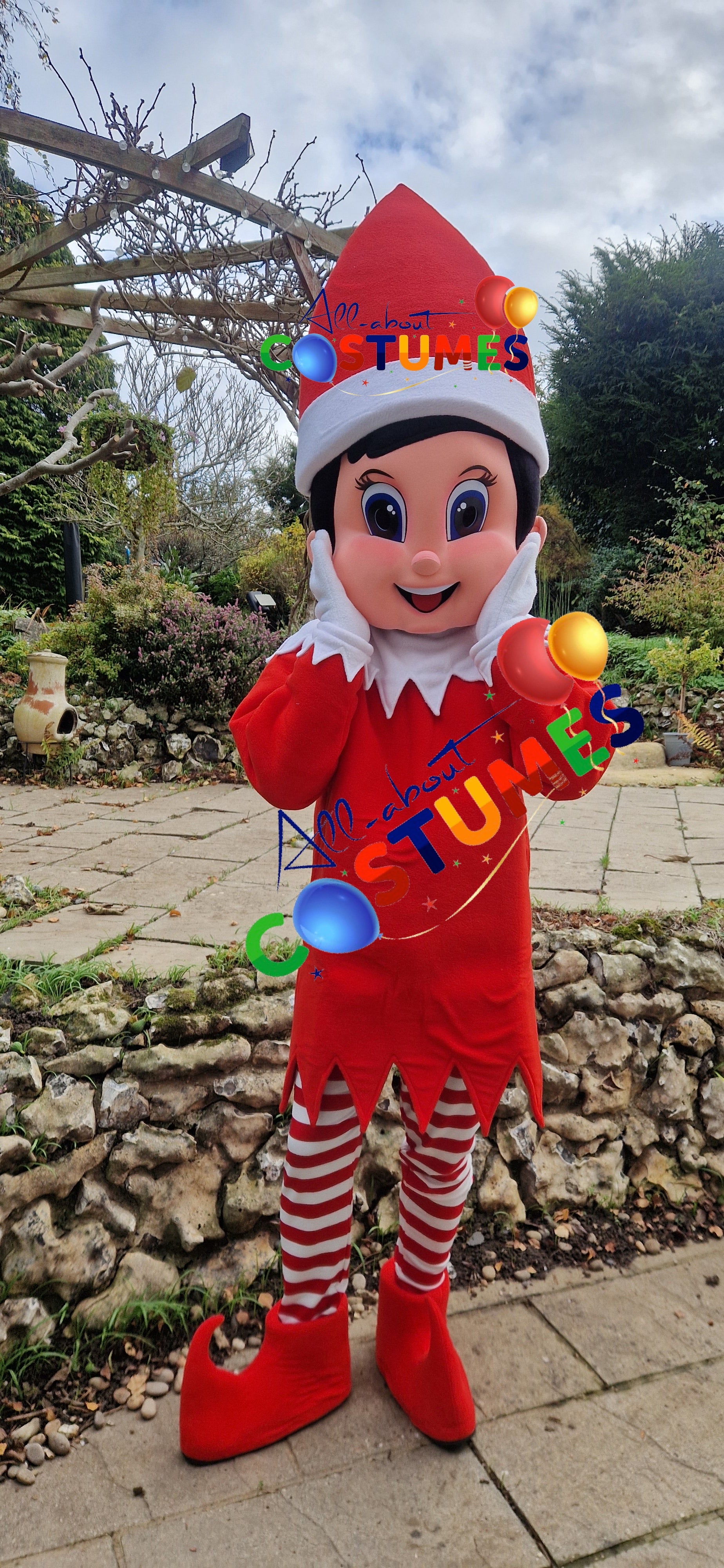 Z Elf en el estante Navidad