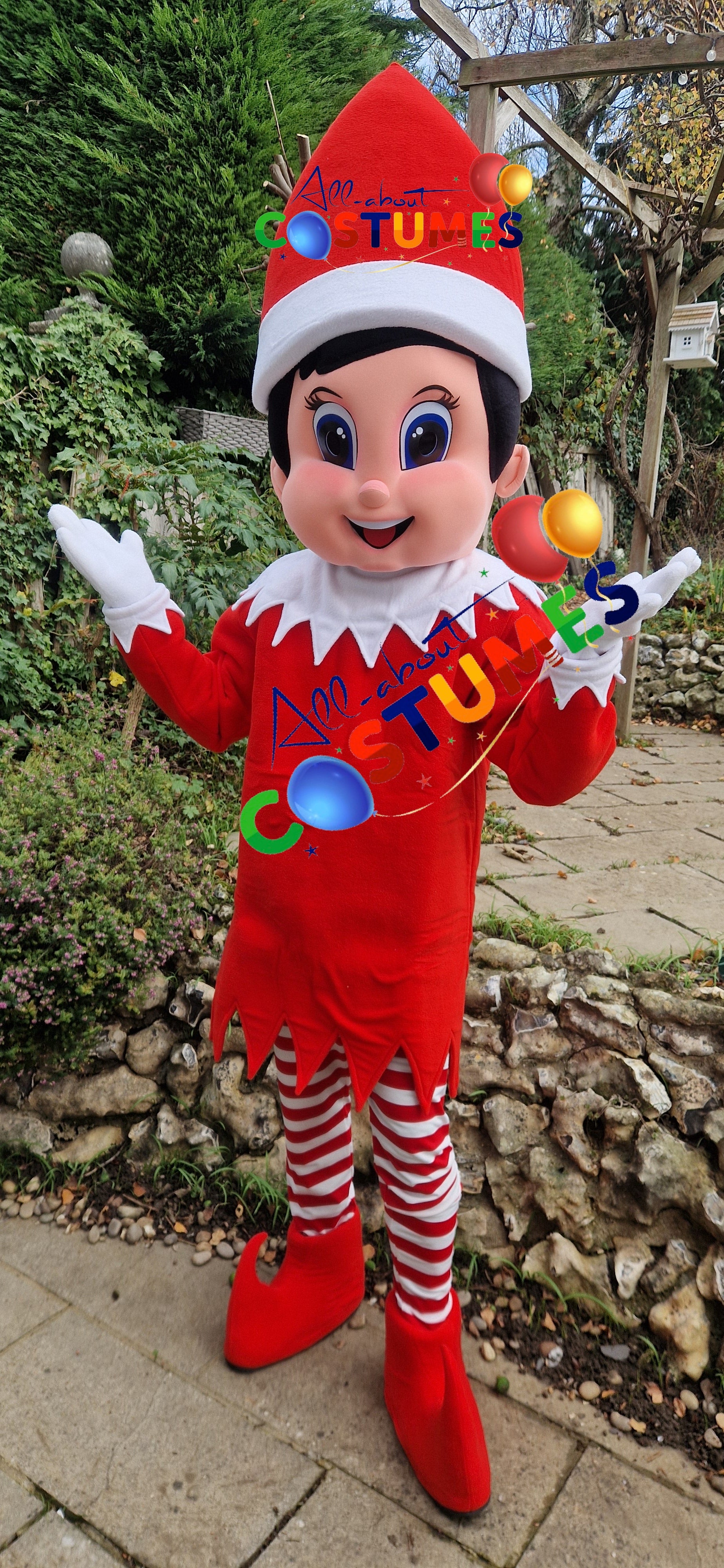 Z Elf en el estante Navidad