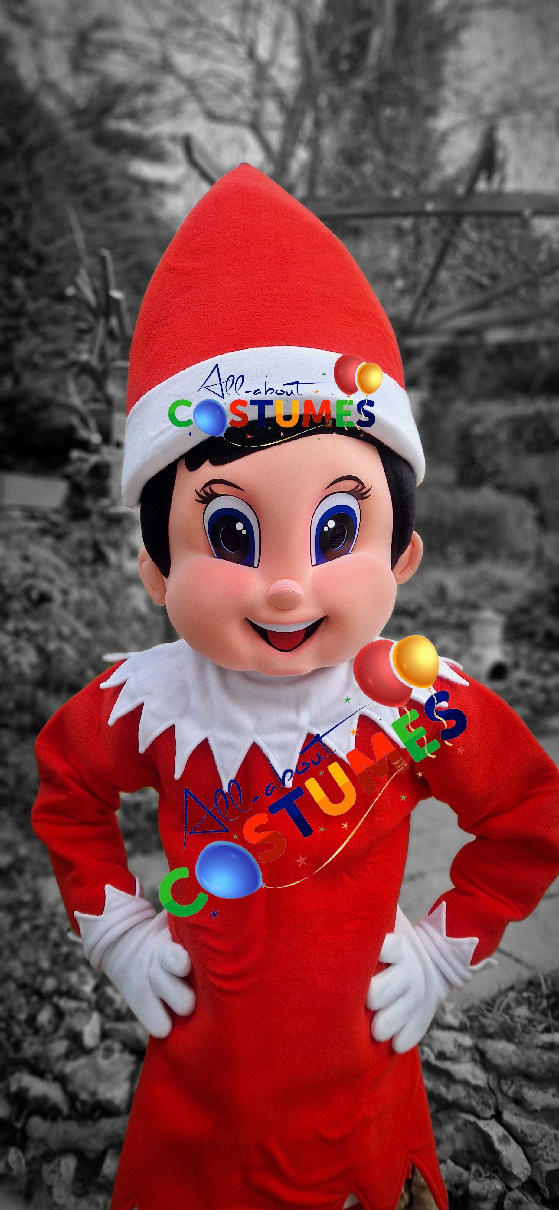 Z Elf en el estante Navidad