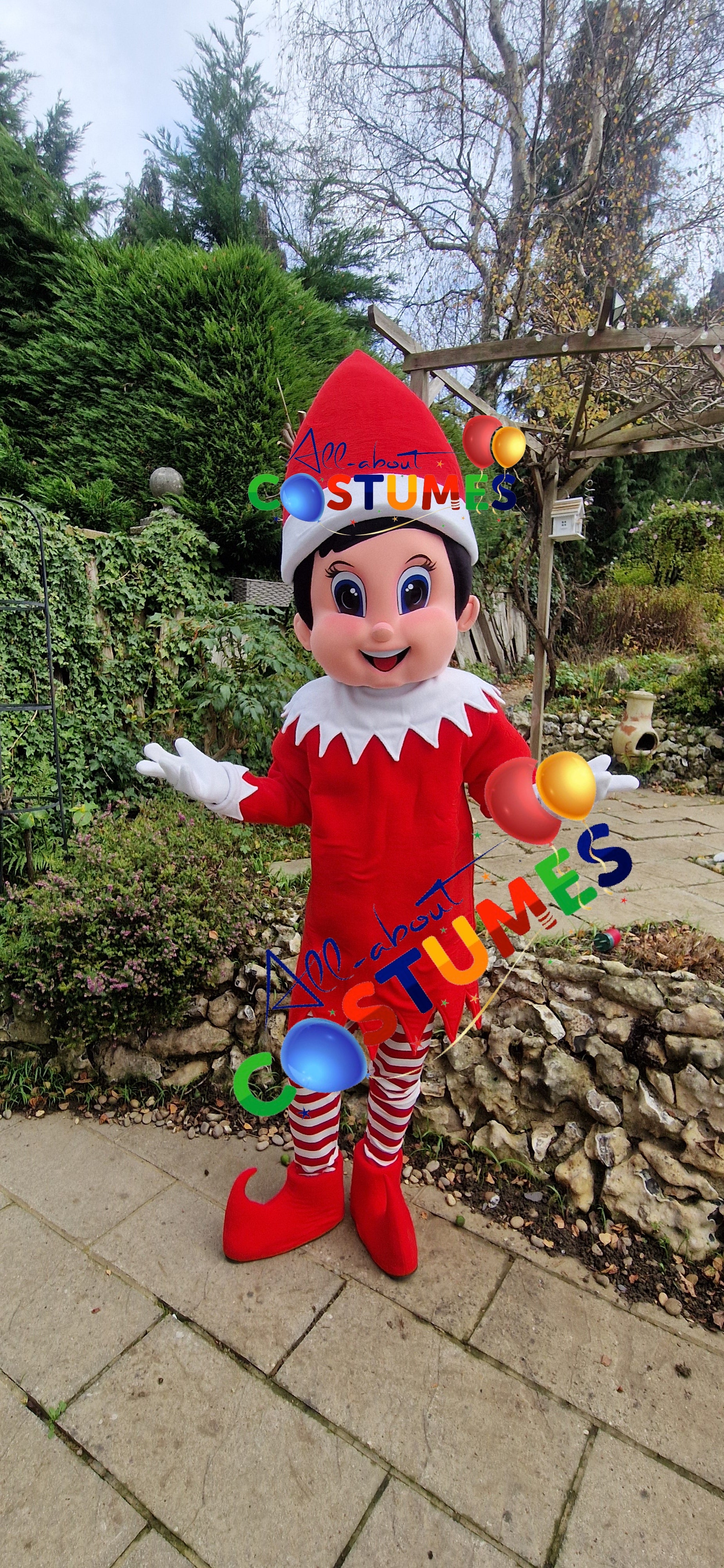 Z Elf en el estante Navidad