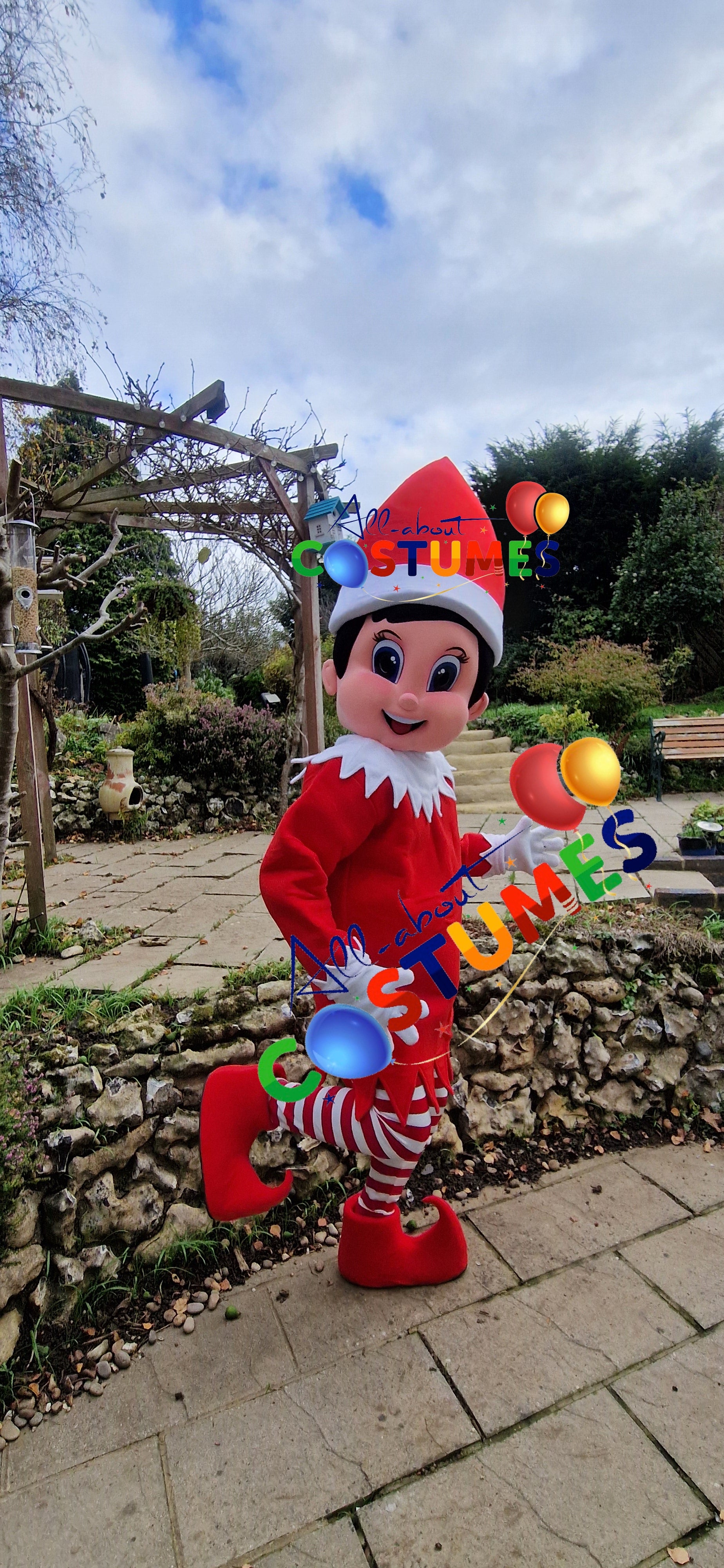 Z Elf en el estante Navidad