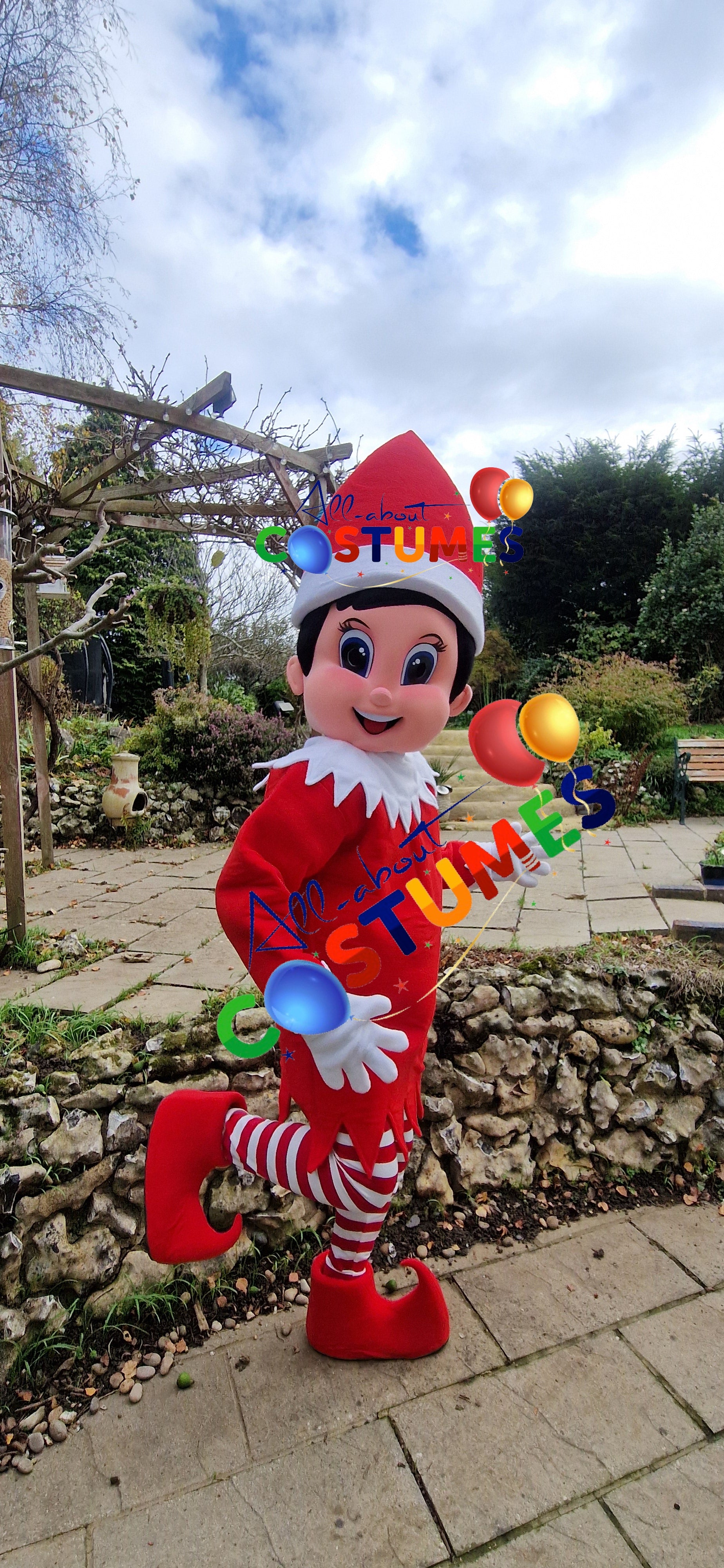 Z Elf en el estante Navidad