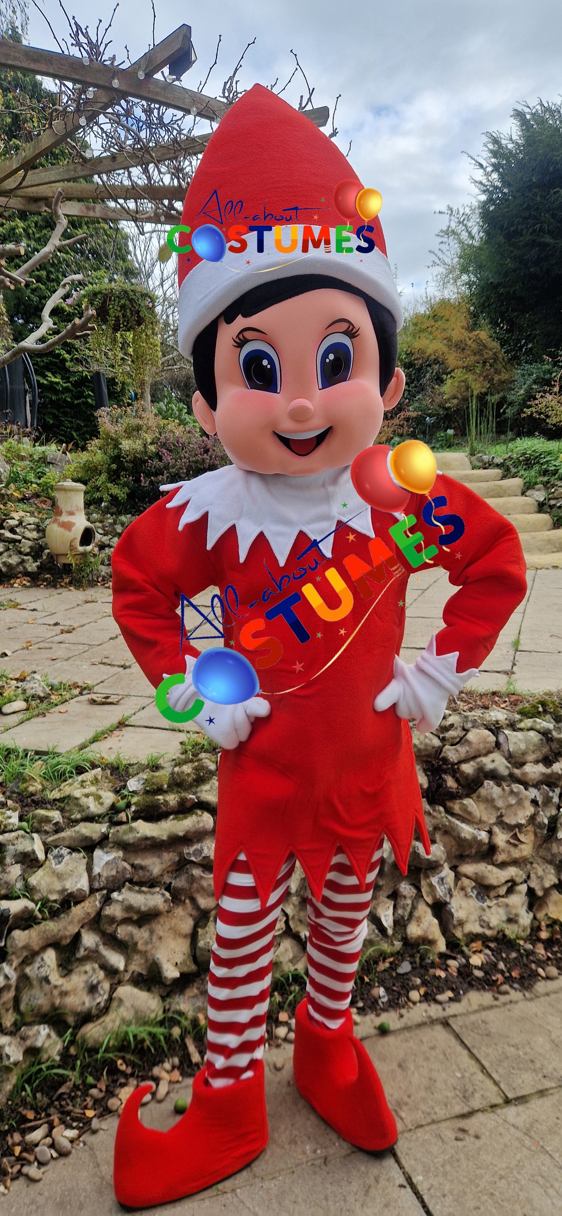 Z Elf en el estante Navidad