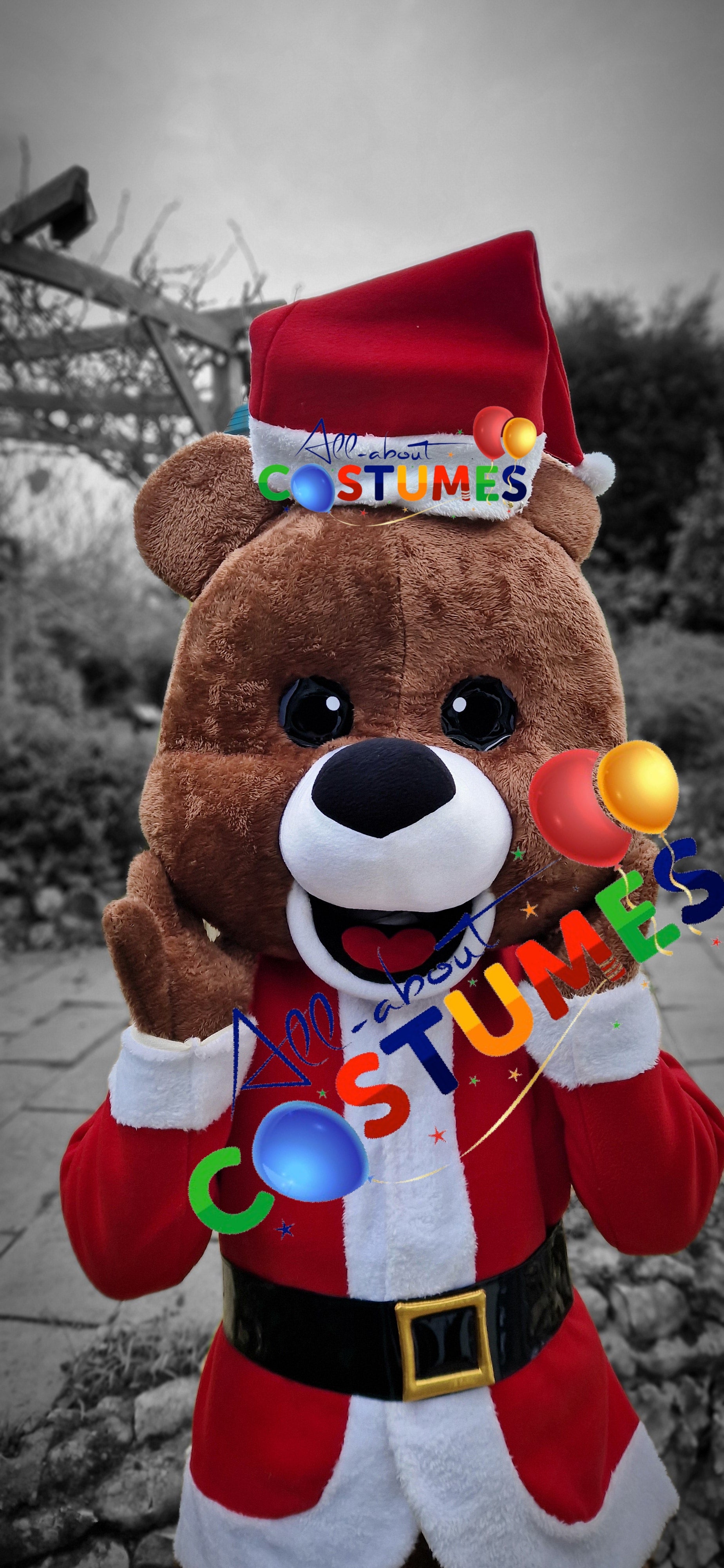 Z Elf en el estante Navidad