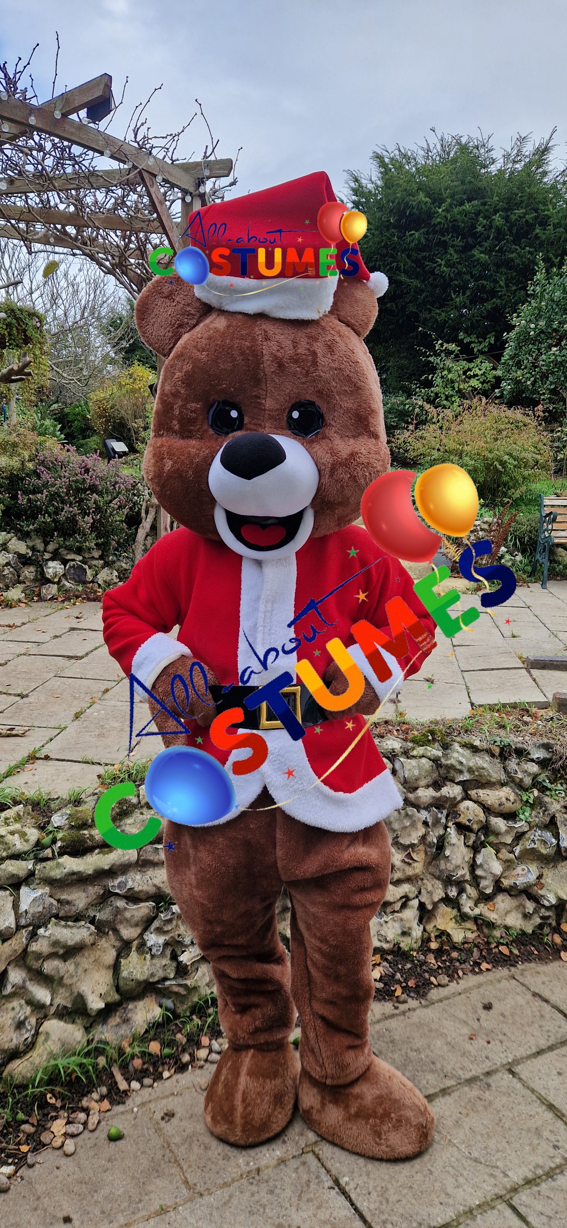 Z Elf en el estante Navidad