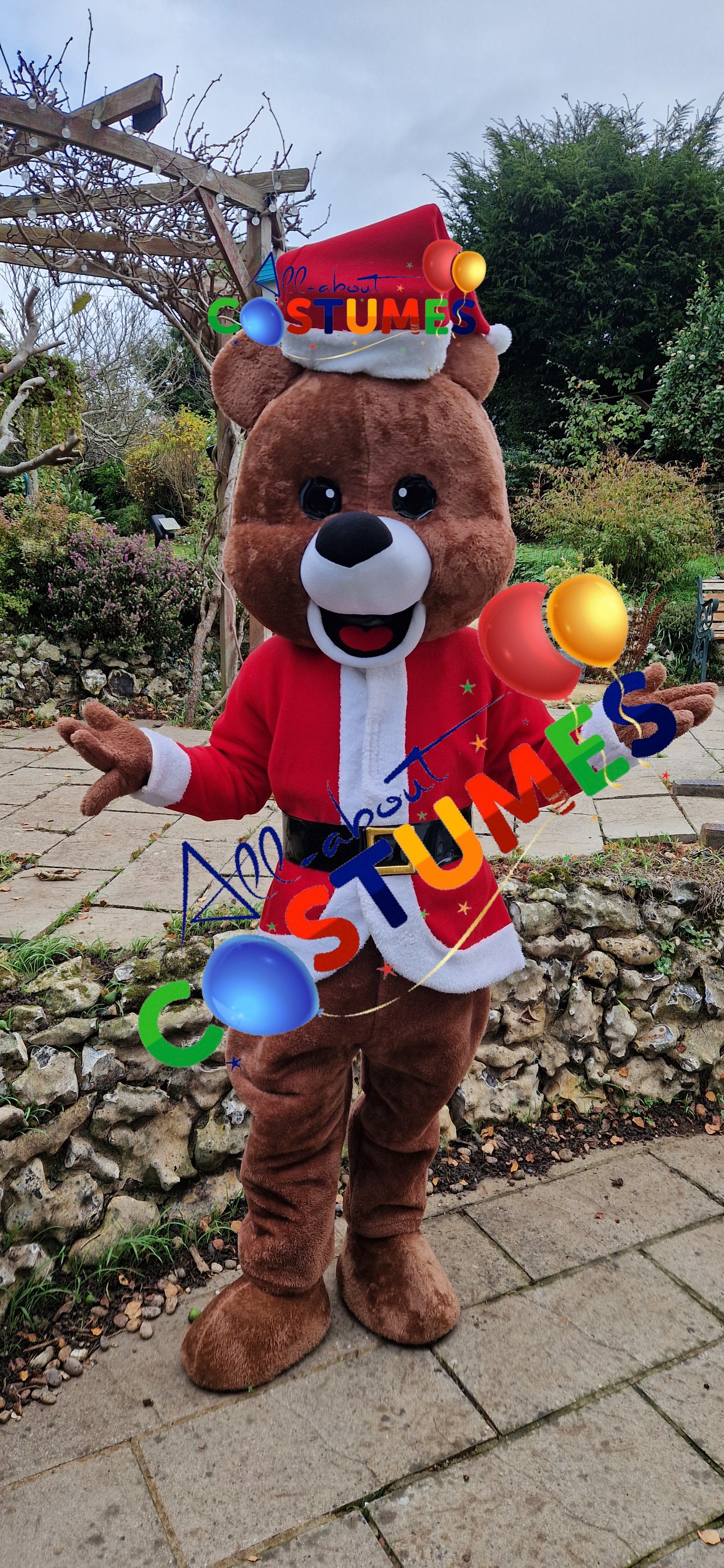 Z Elf en el estante Navidad