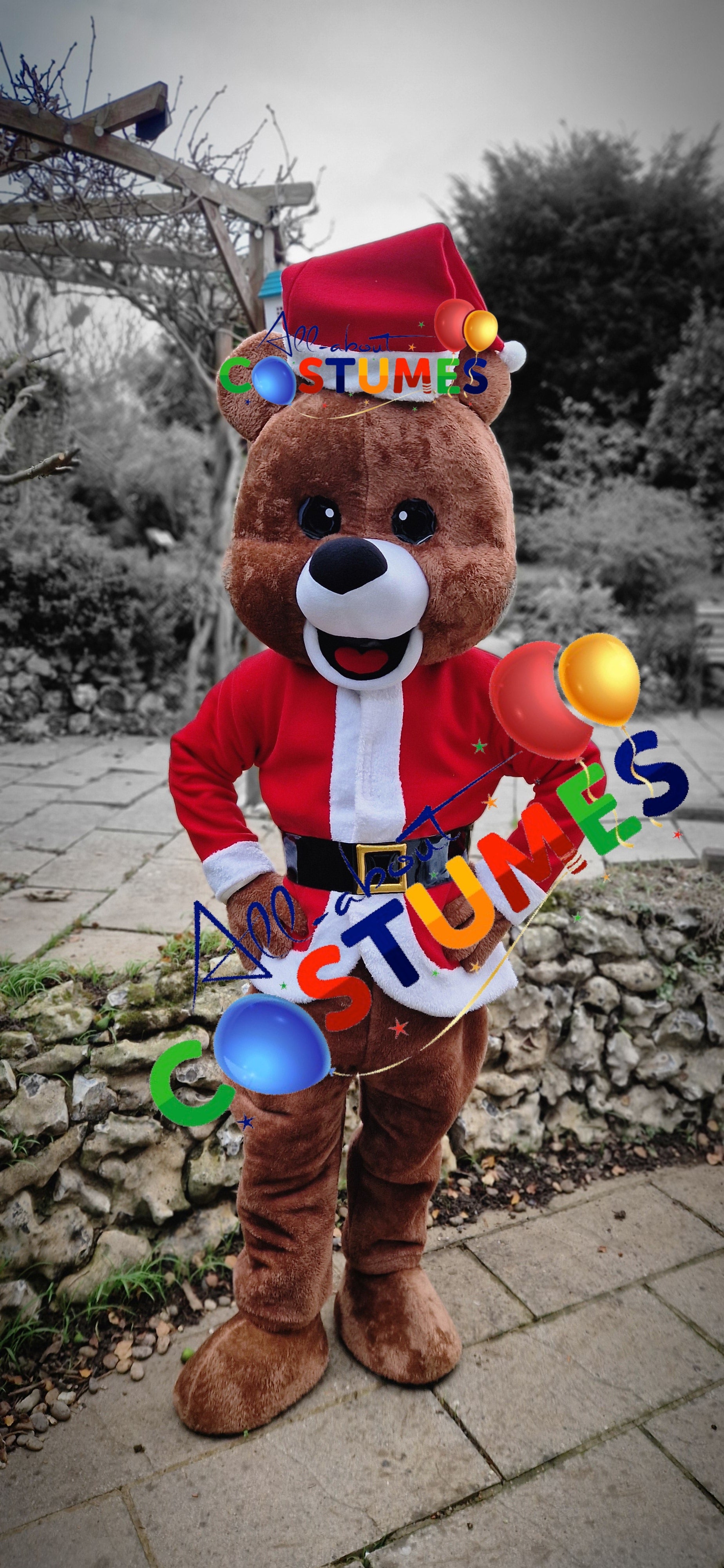 Z Elf en el estante Navidad