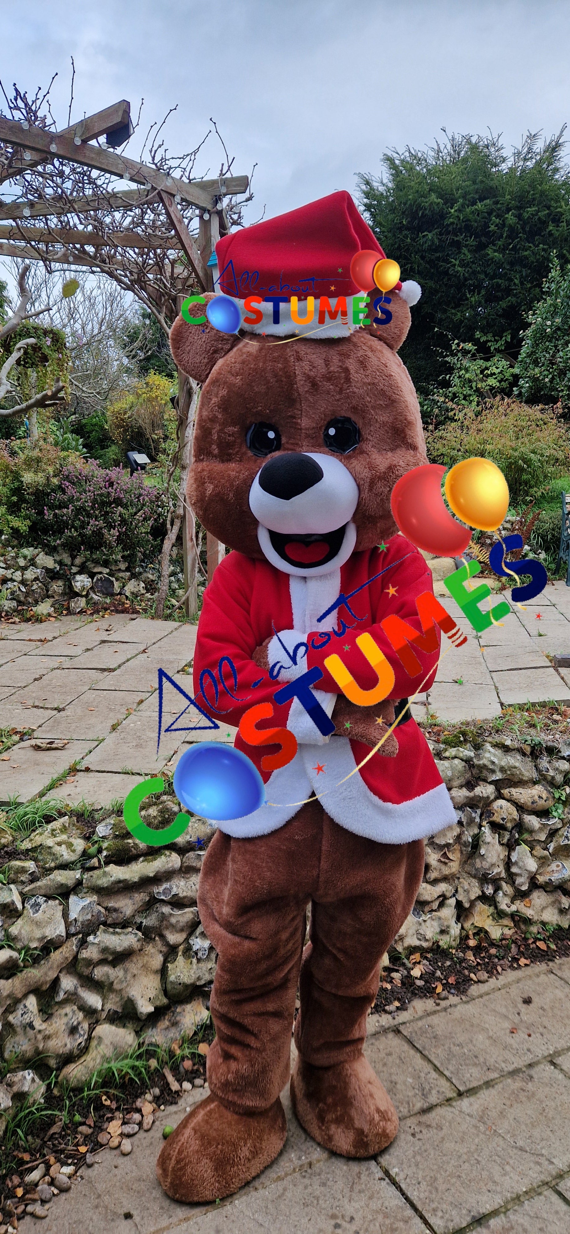 Z Elf en el estante Navidad