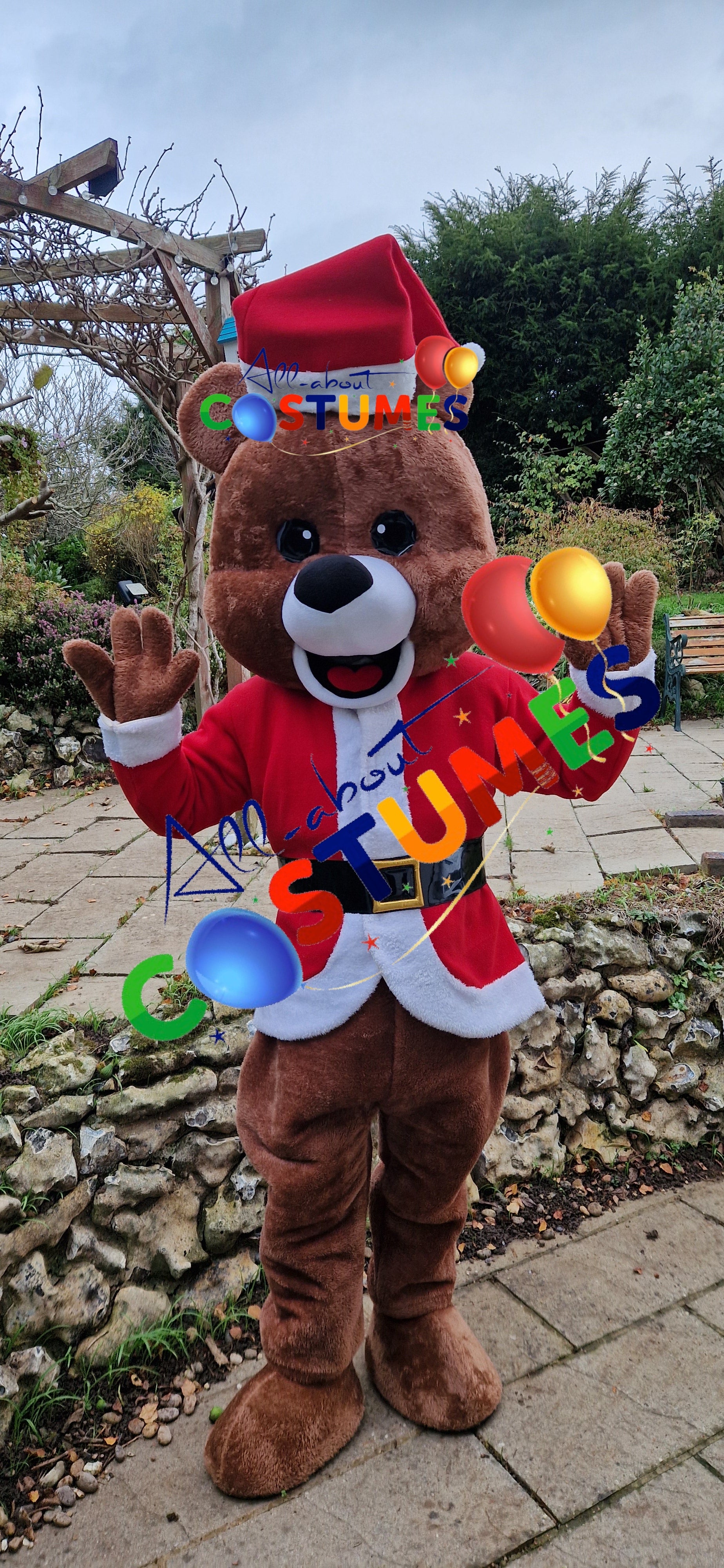 Z Elf en el estante Navidad