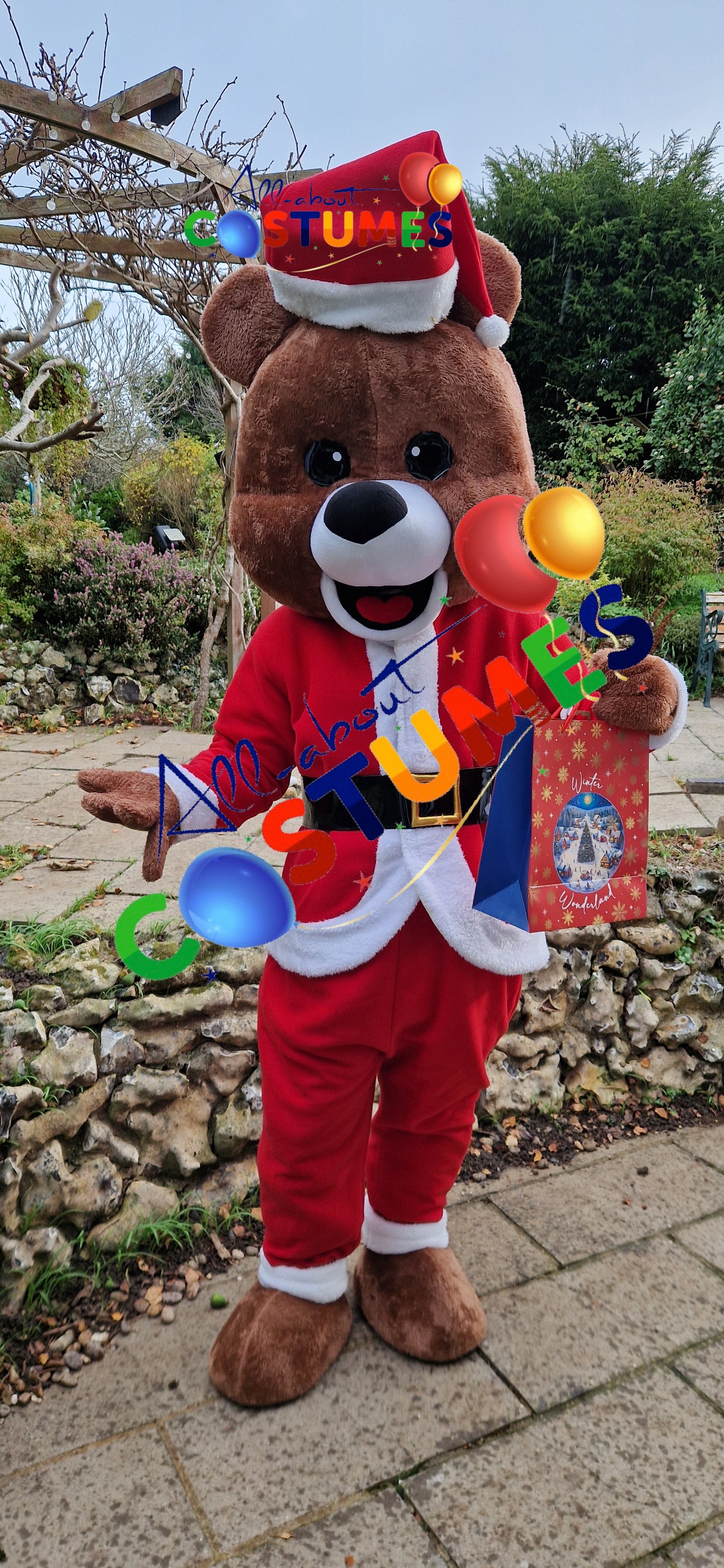 Z Elf en el estante Navidad