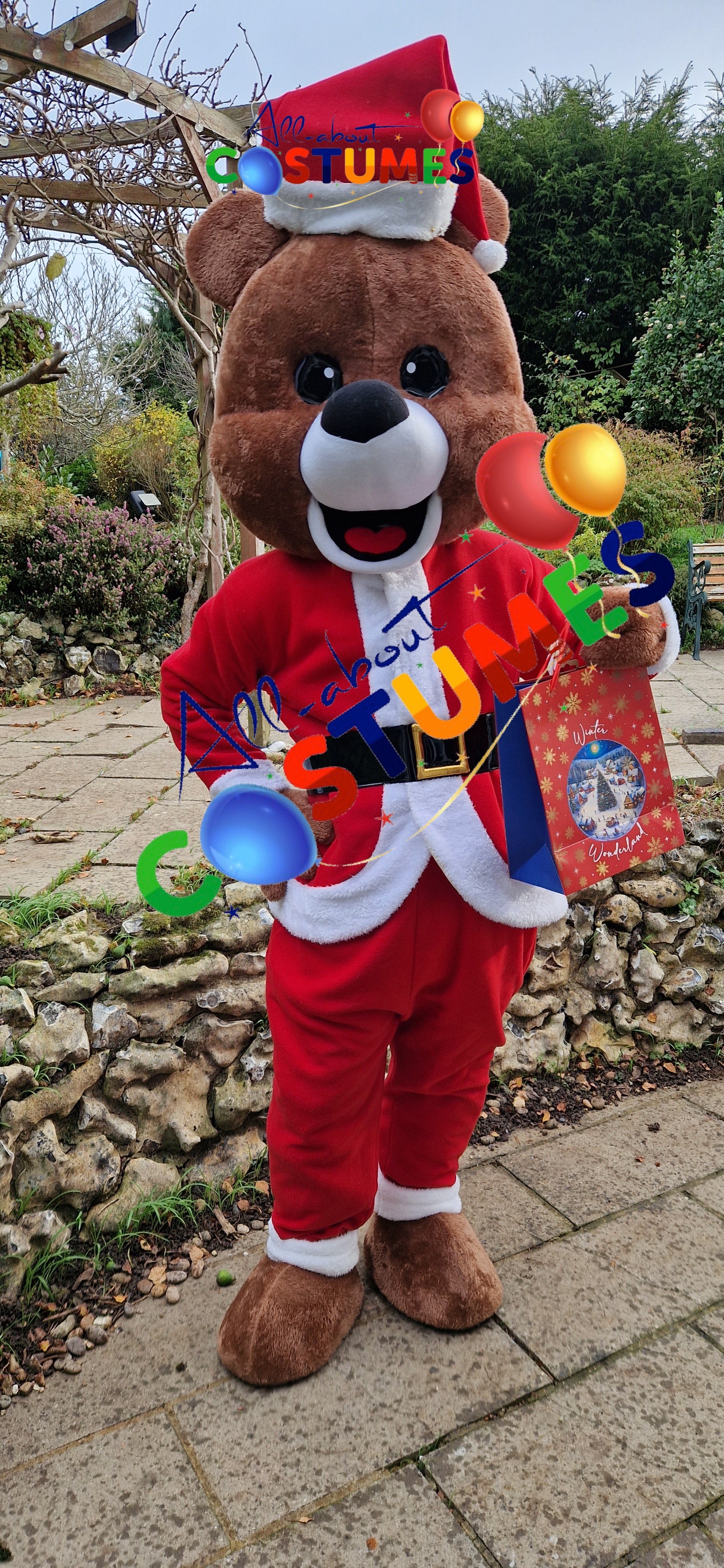 Z Elf en el estante Navidad