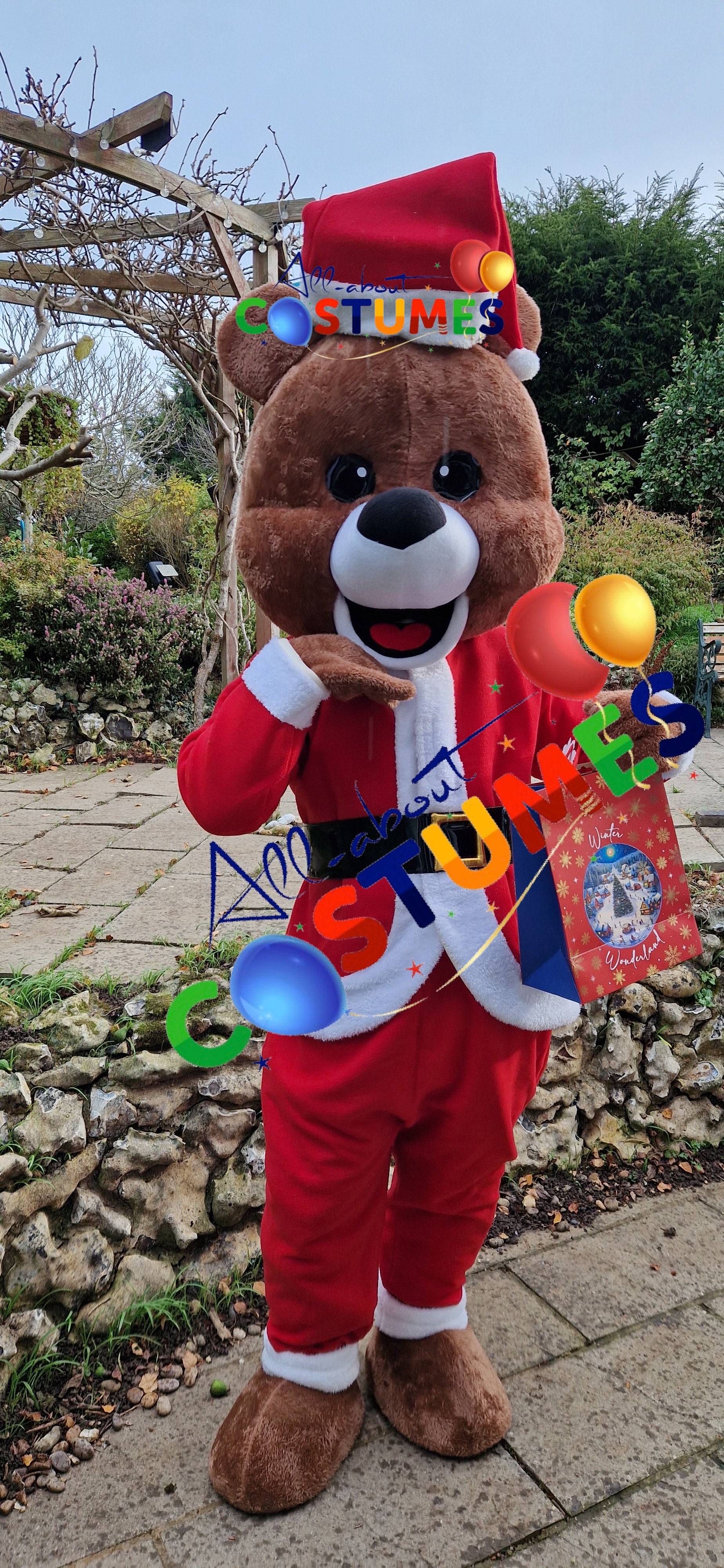 Z Elf en el estante Navidad