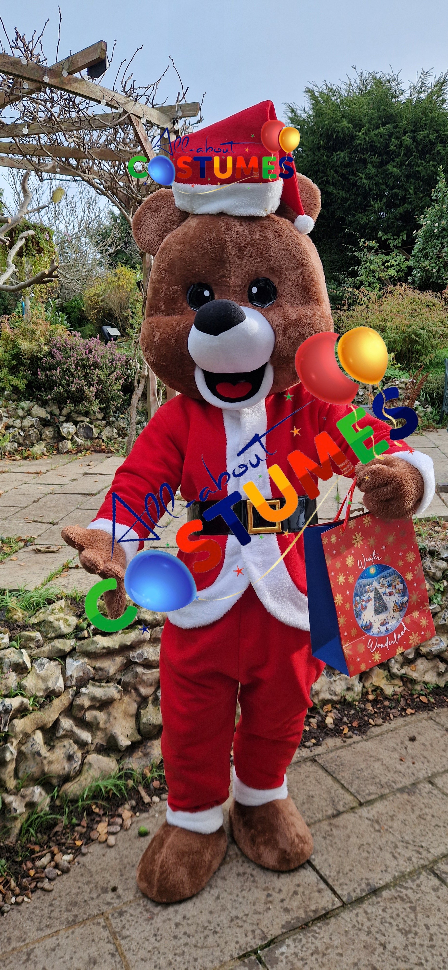 Z Elf en el estante Navidad