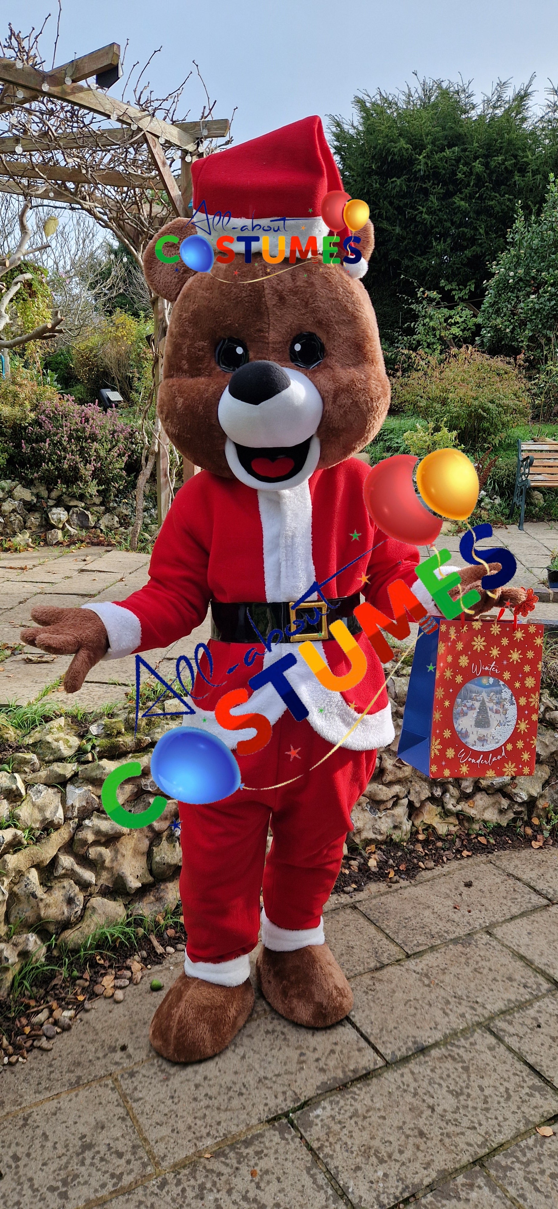 Z Elf en el estante Navidad