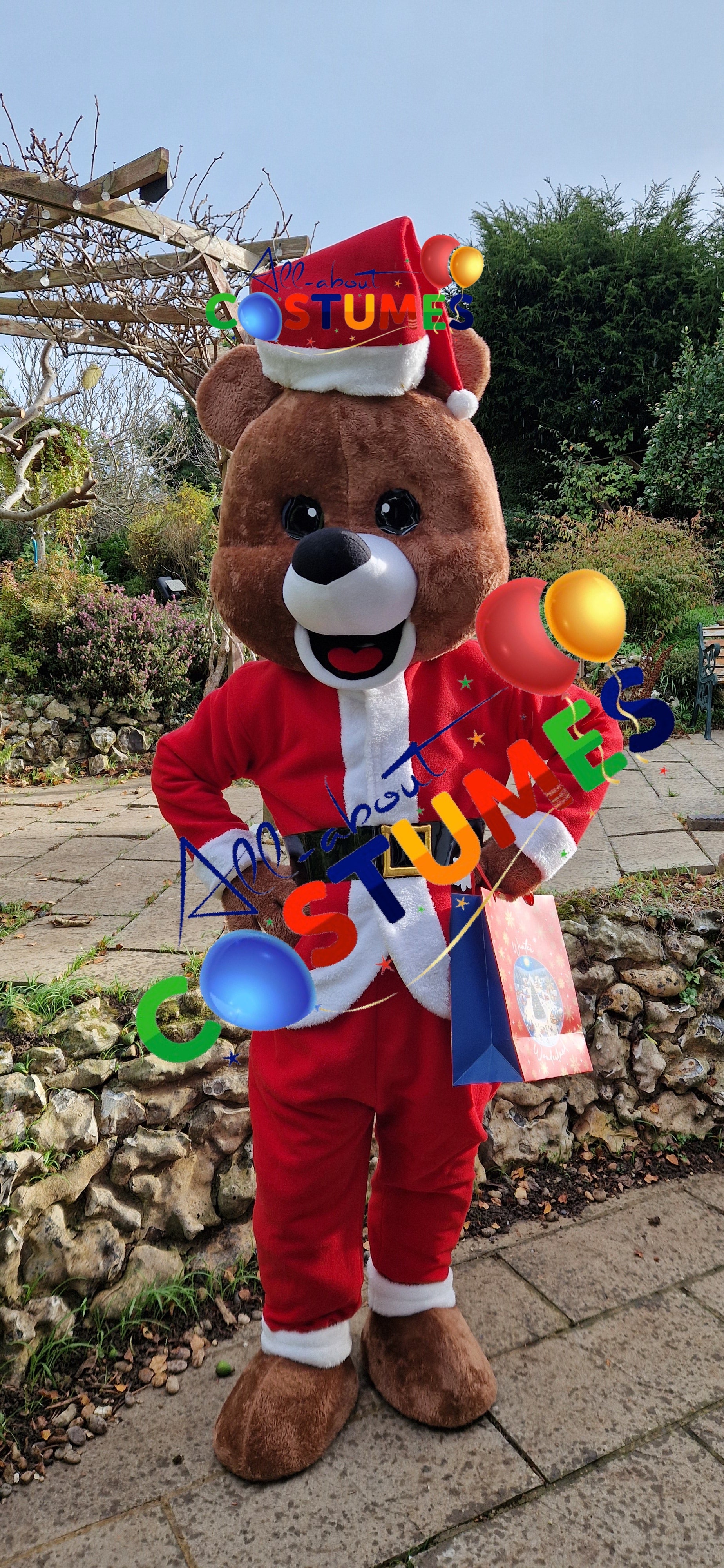 Z Elf en el estante Navidad