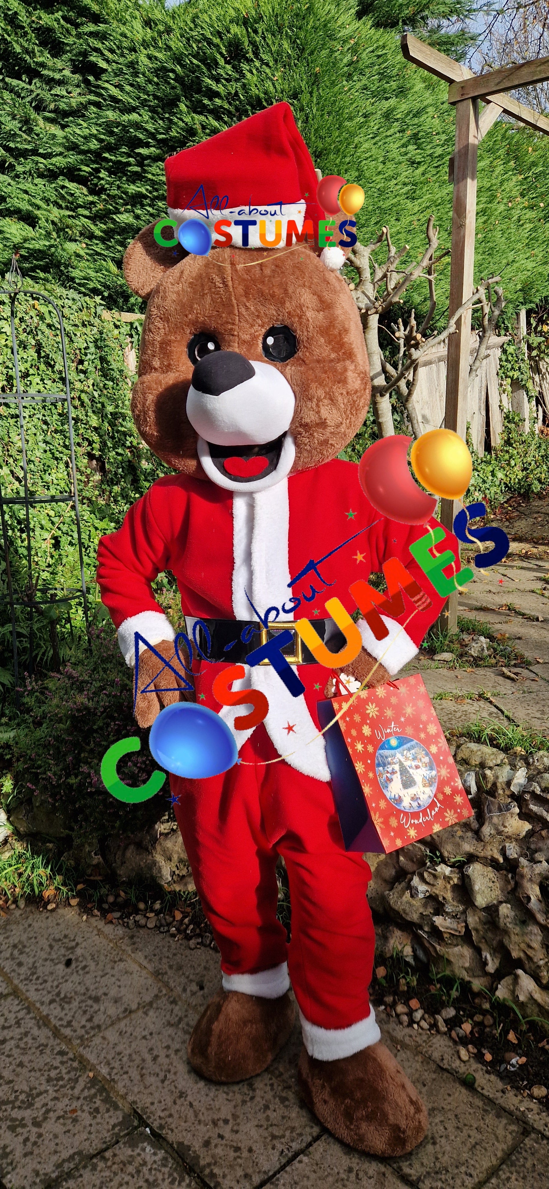 Z Elf en el estante Navidad