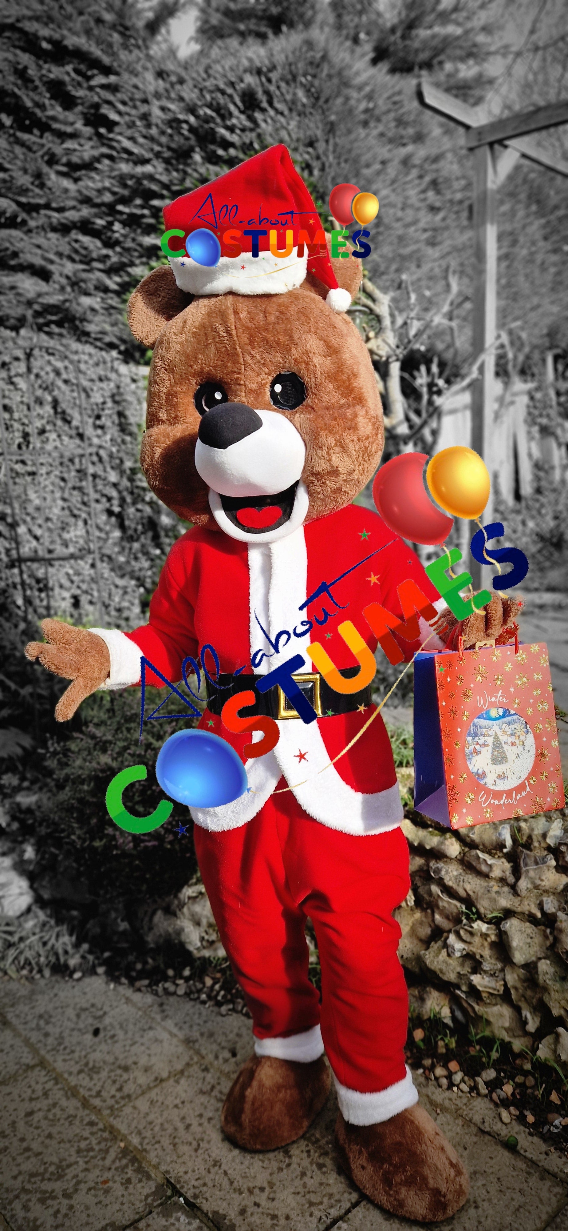 Z Elf en el estante Navidad