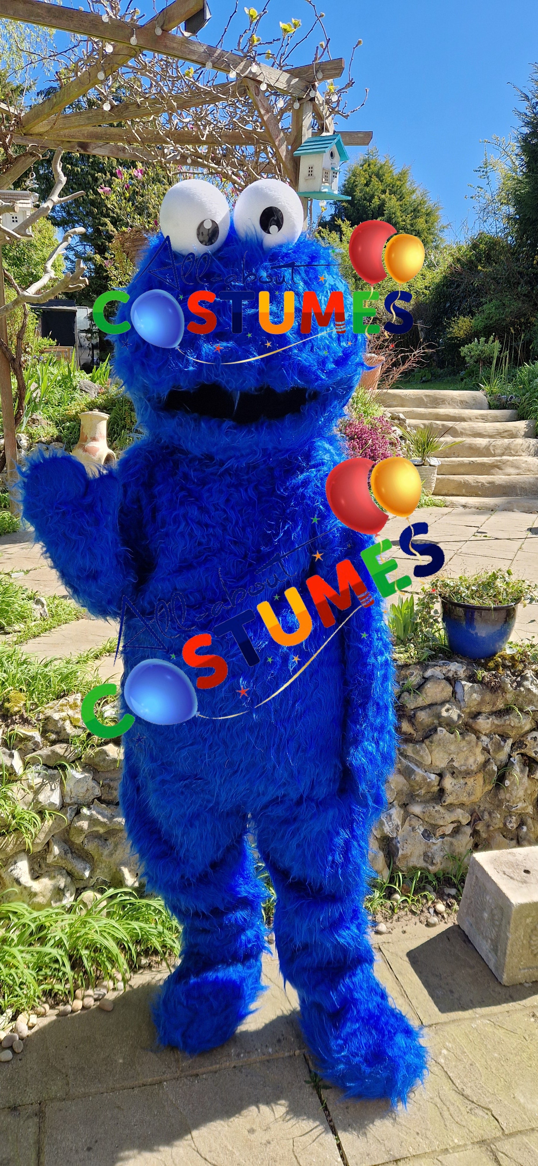 Cookie Monster Sesame Street