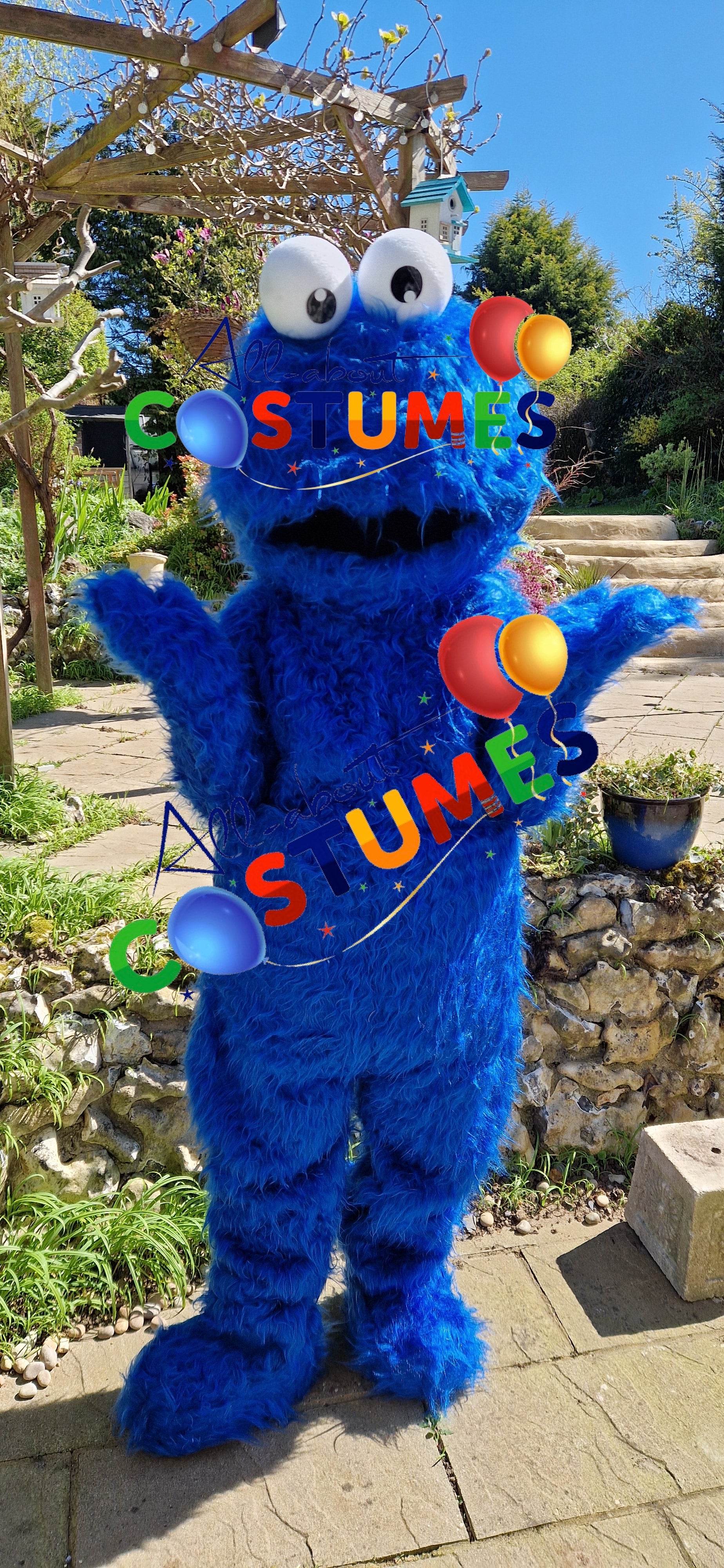Cookie Monster Sesame Street
