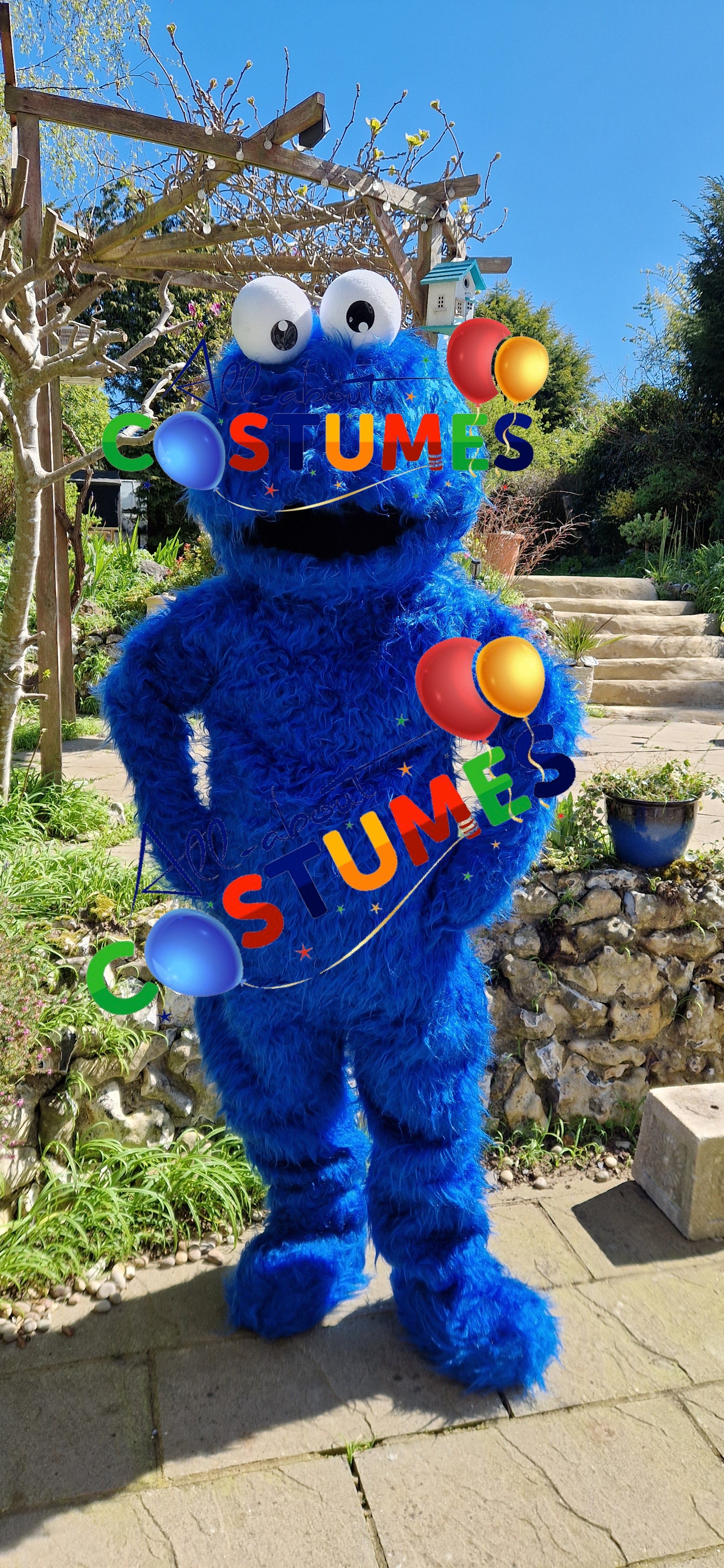 Cookie Monster Sesame Street