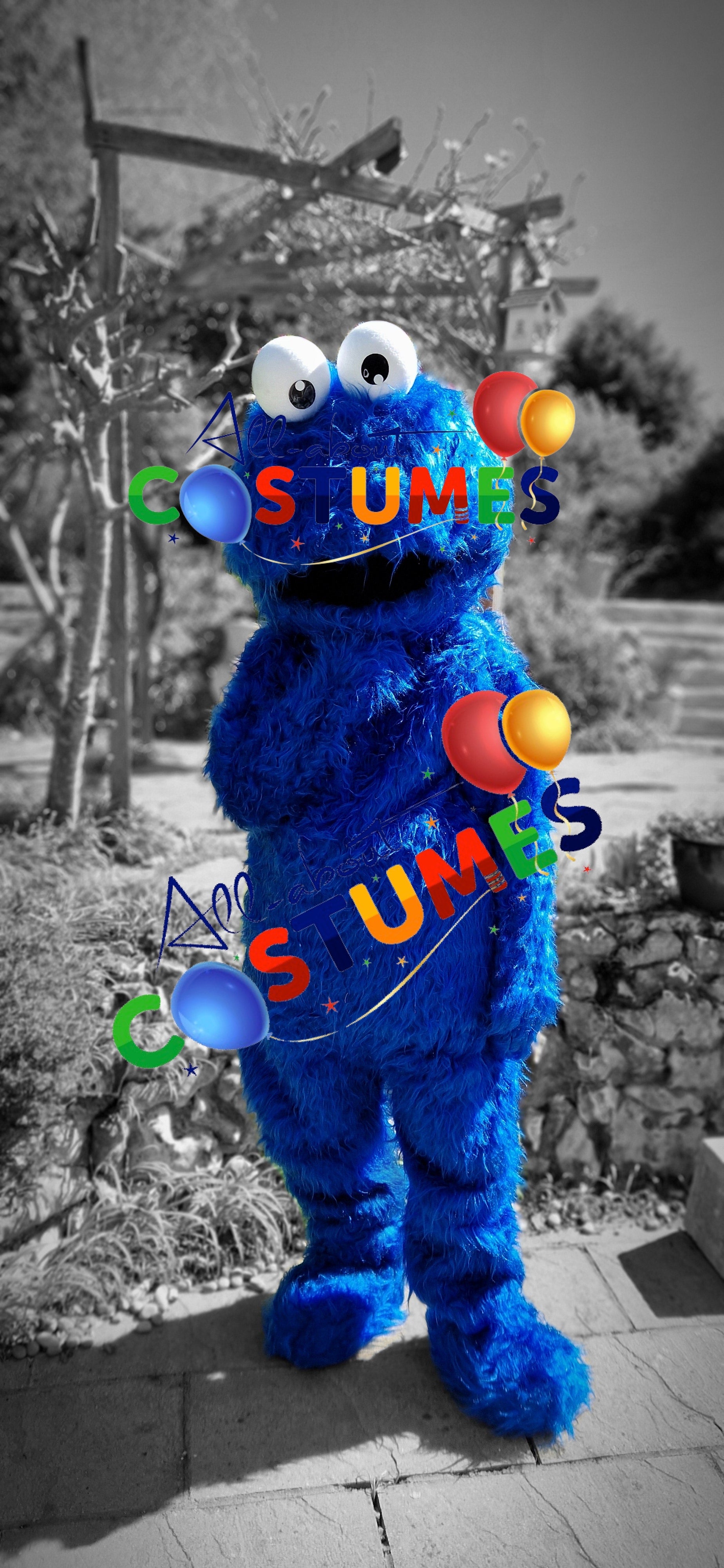 Cookie Monster Sesame Street