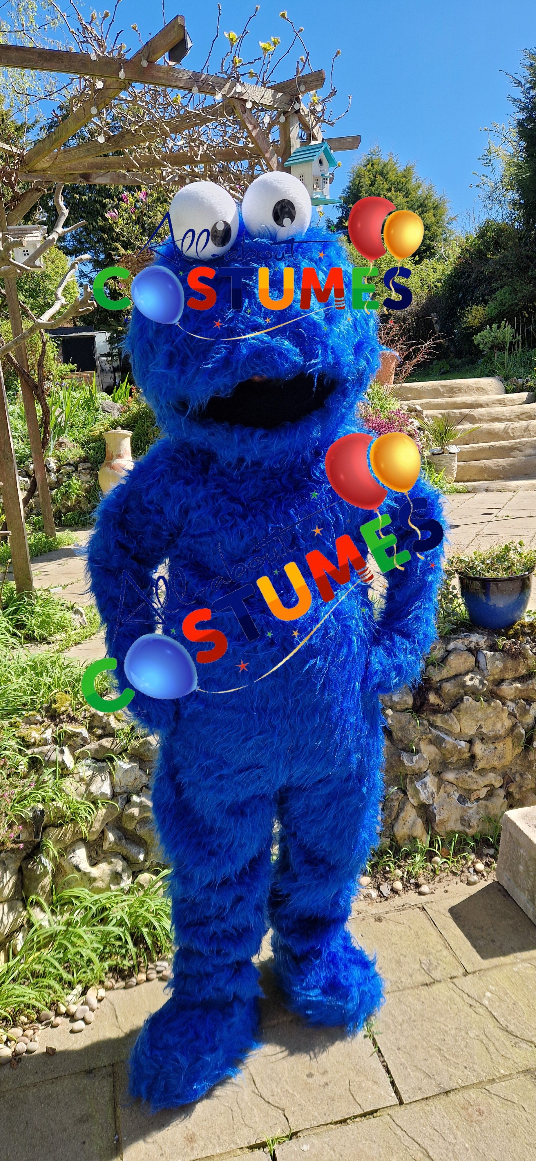 Cookie Monster Sesame Street