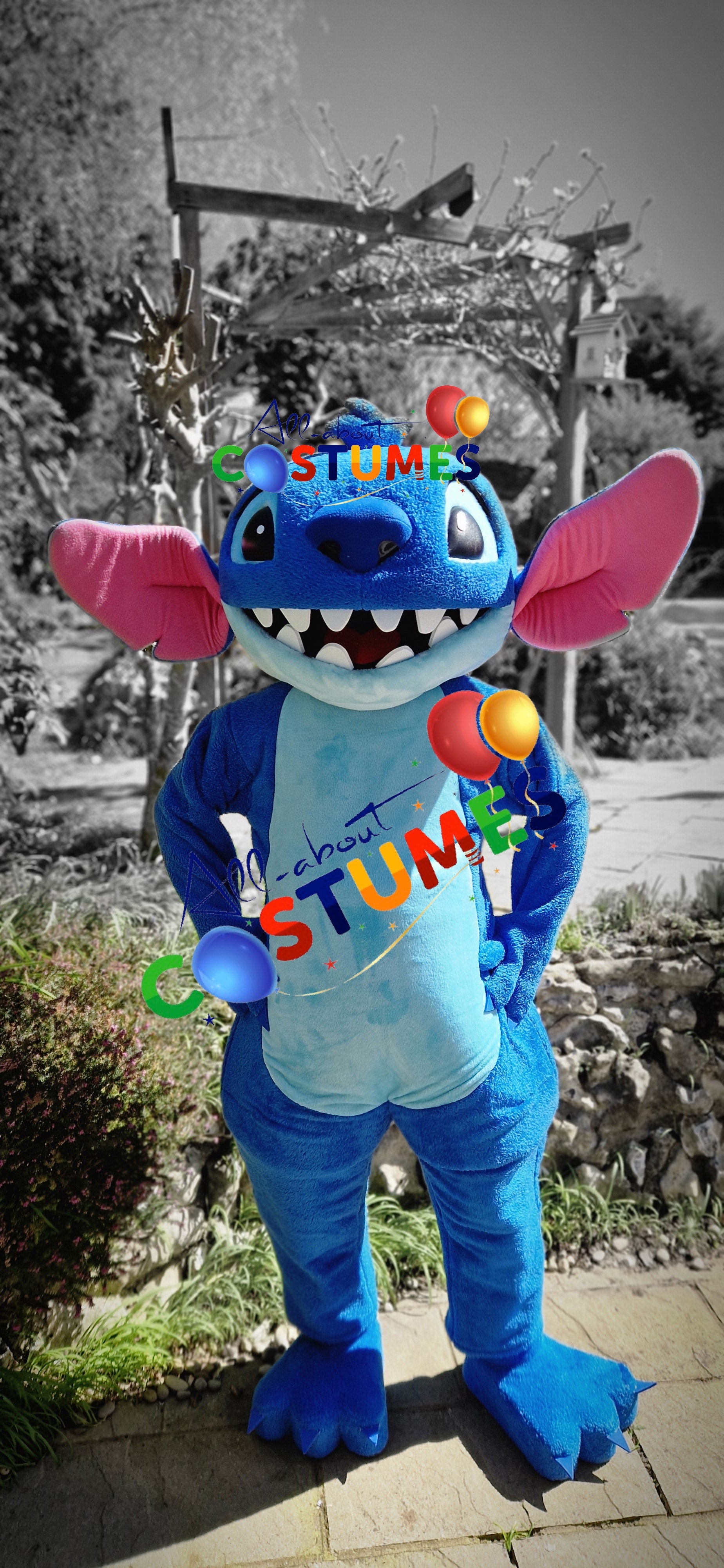 Stitch Costume B